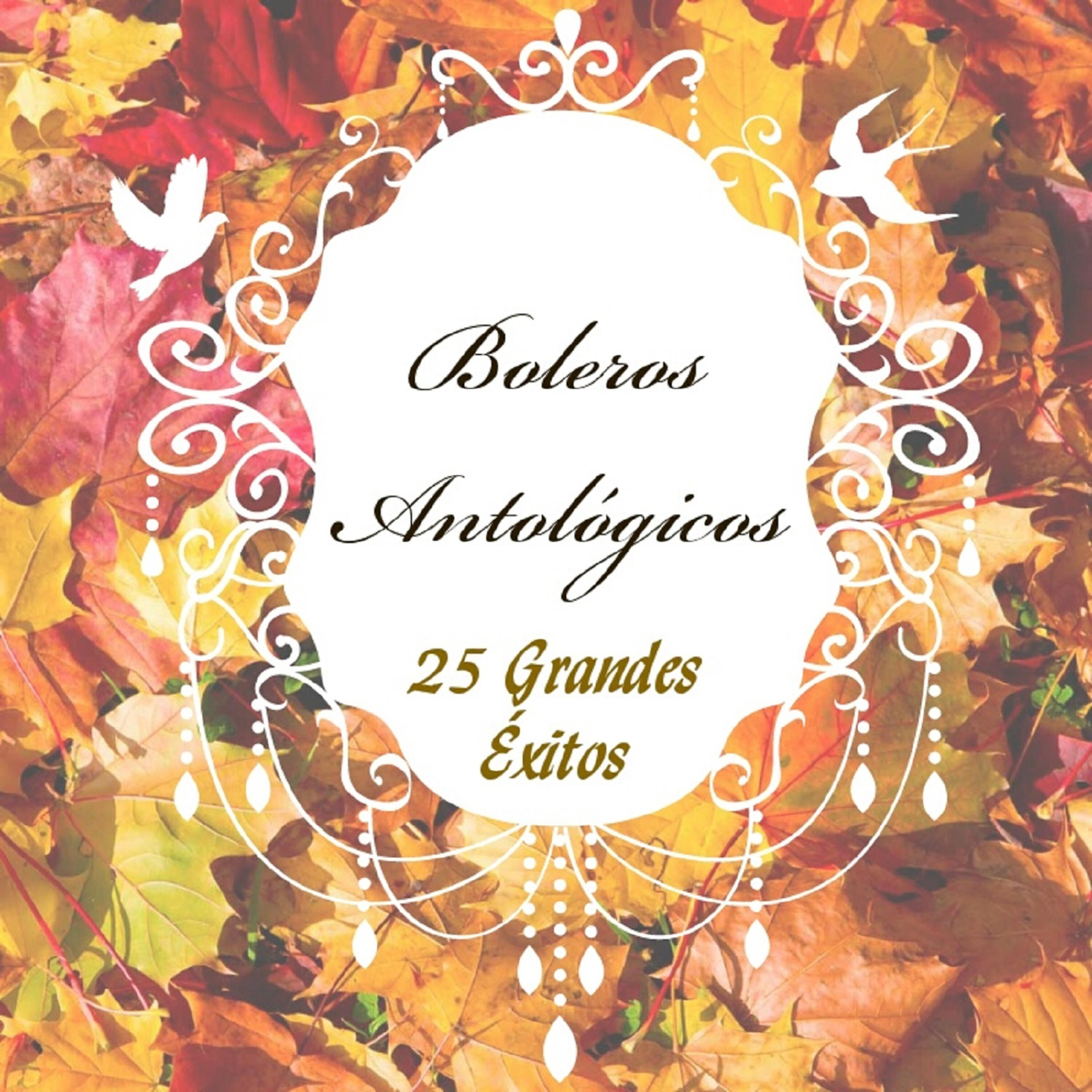 Постер альбома Boleros Antológicos - 25 Grandes Éxitos