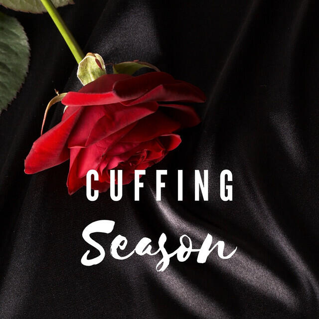 Постер альбома Cuffing Season