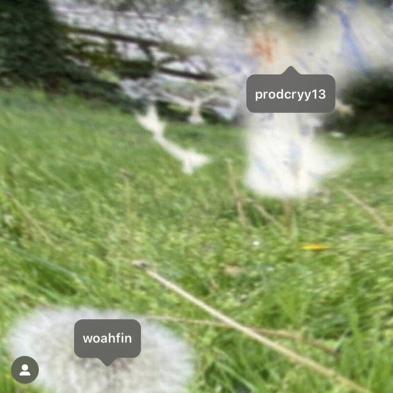 Релиз syyringe56 p. ayykidtaylor, wikee!, fallenluv