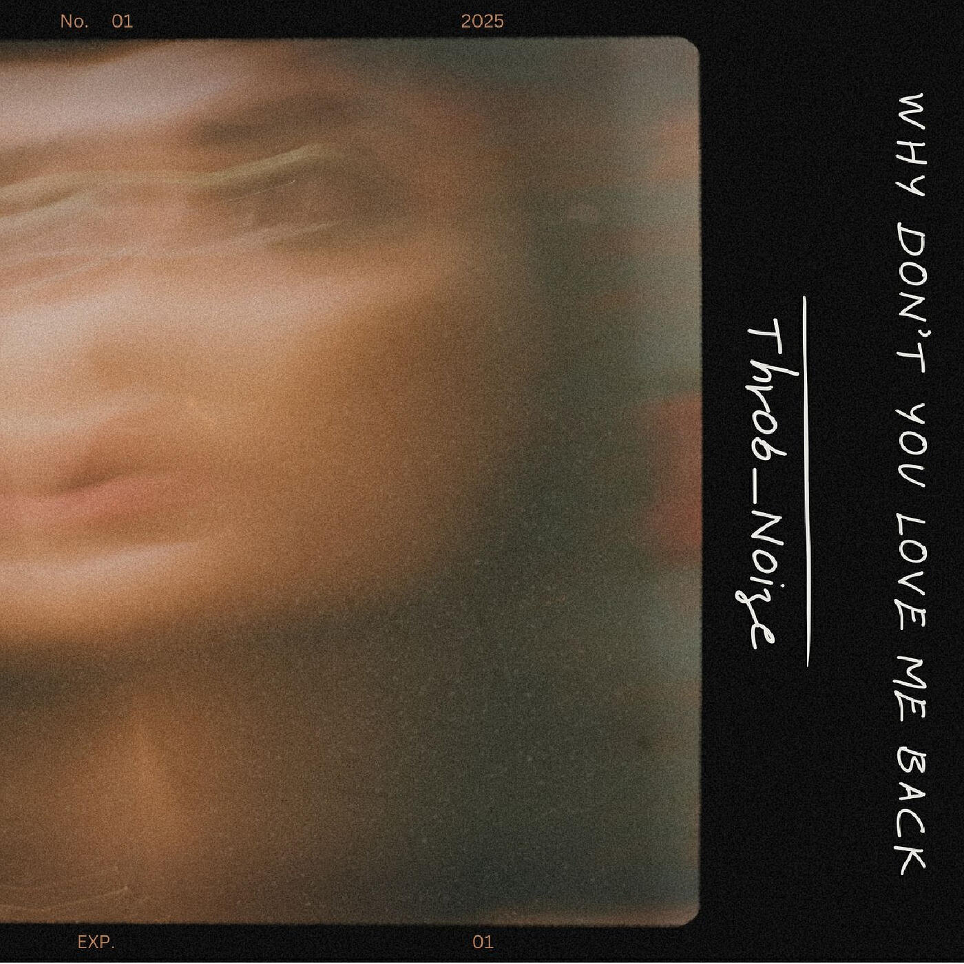Релиз Why Don't You Love Me Back