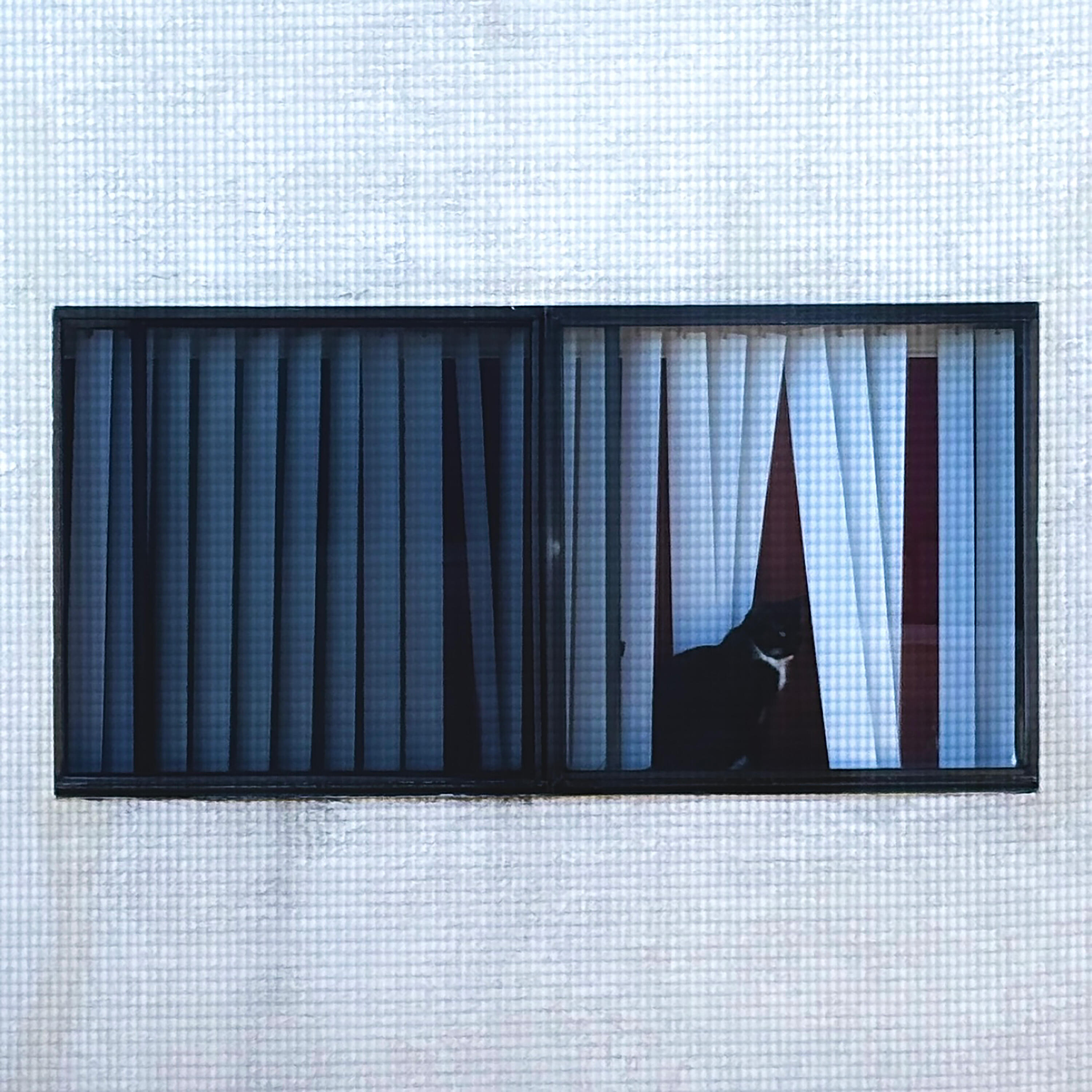 Релиз Pipe (with Vashti Bunyan)