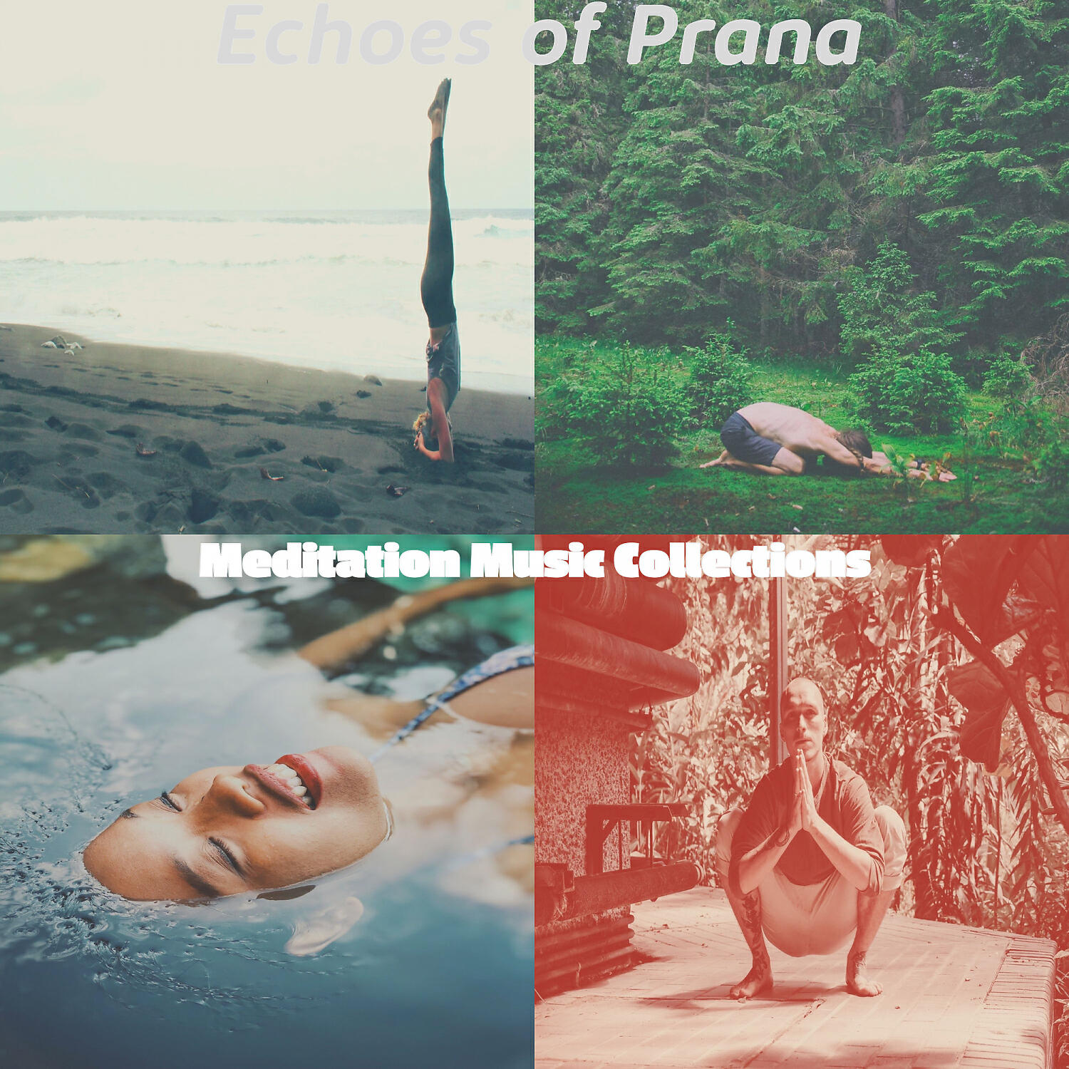 Релиз Echoes of Prana