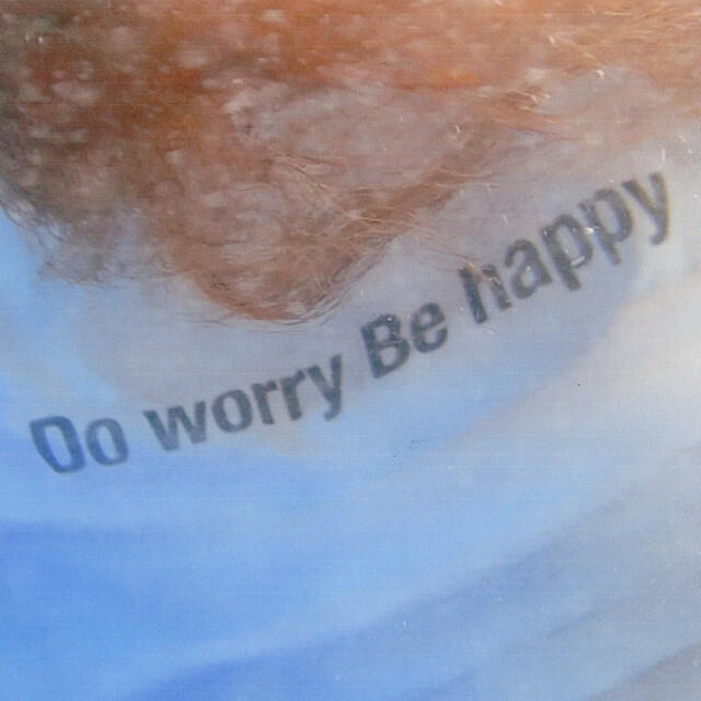 Релиз Do Worry Be Happy