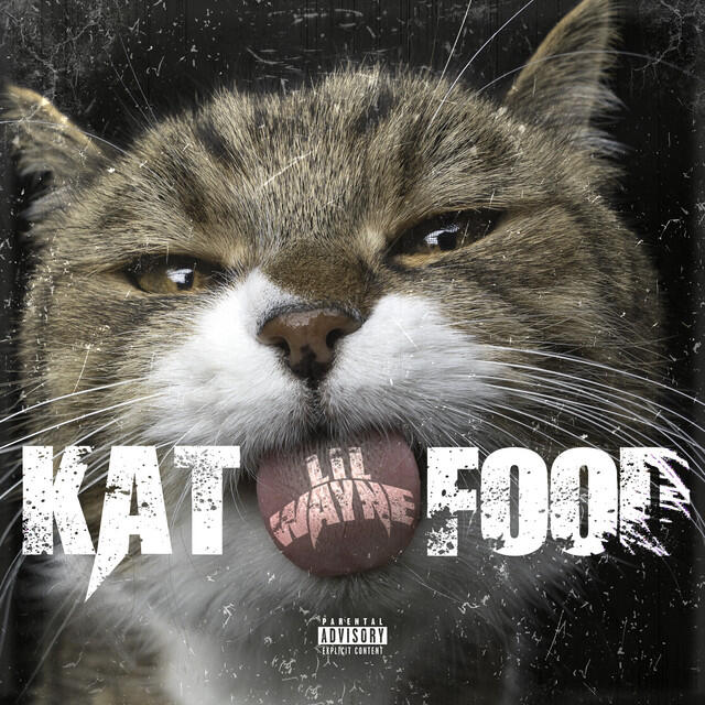 Релиз Kat Food