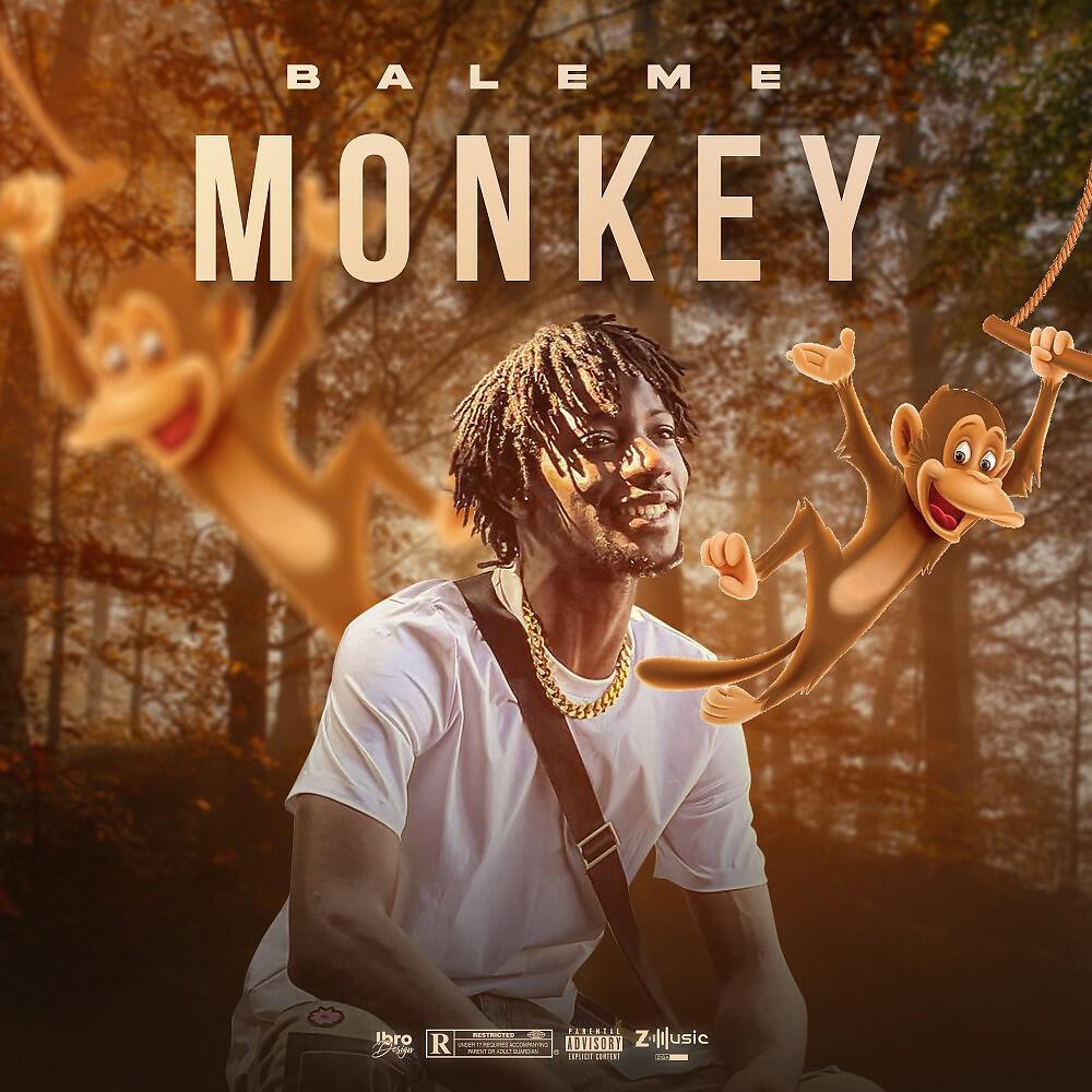 Релиз Monkey
