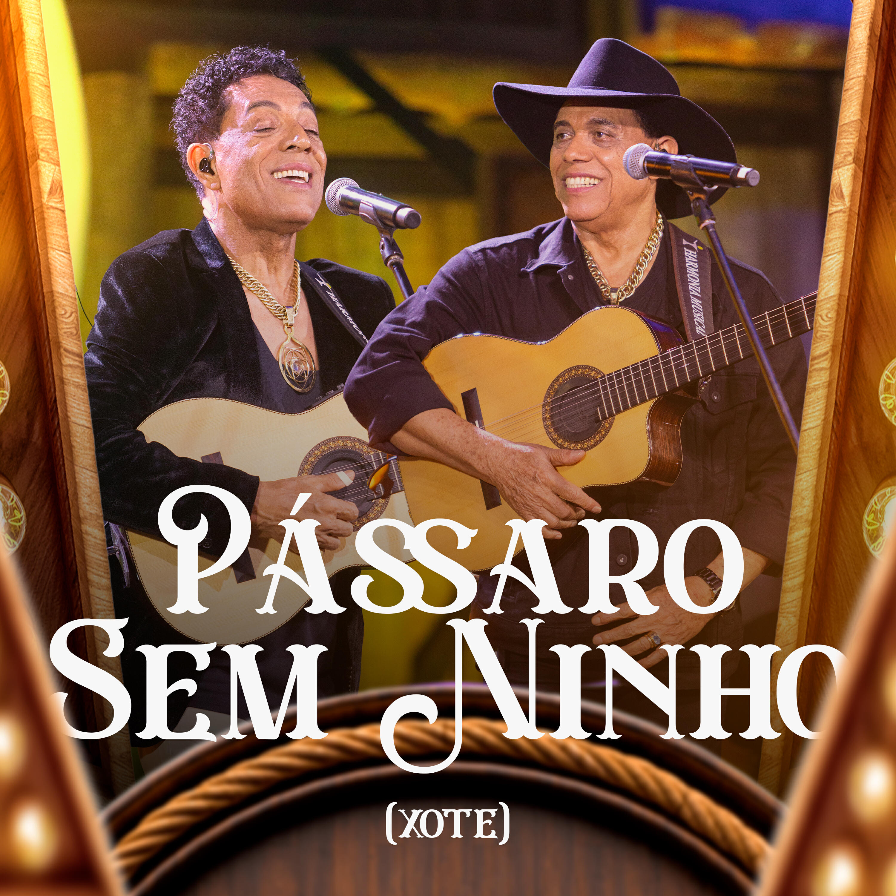 Релиз Pássaro Sem Ninho (xote)