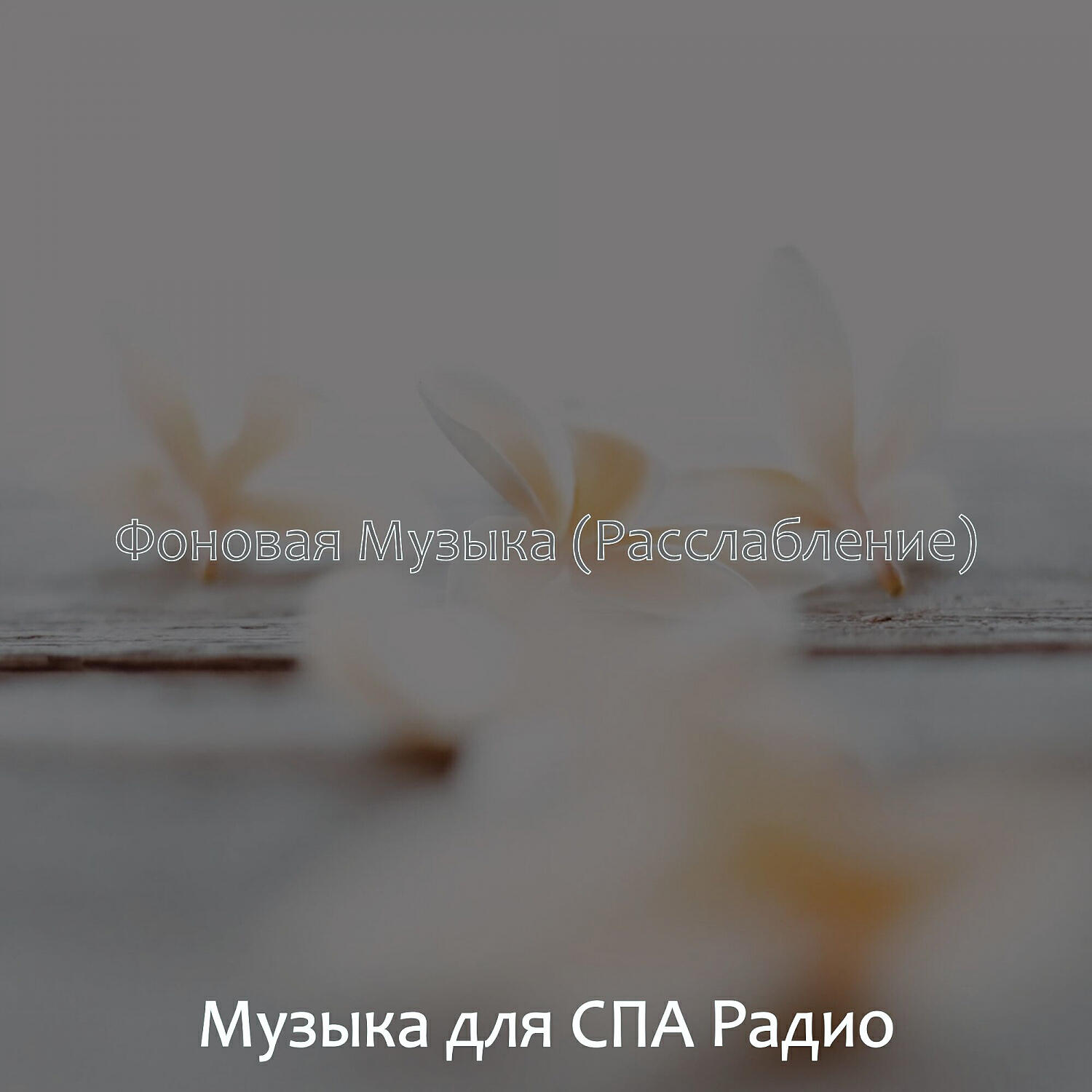 Музыка для СПА Радио