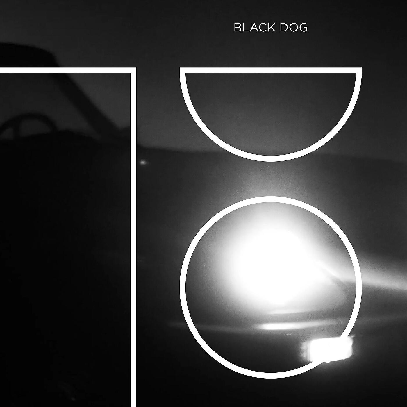 Релиз Black Dog