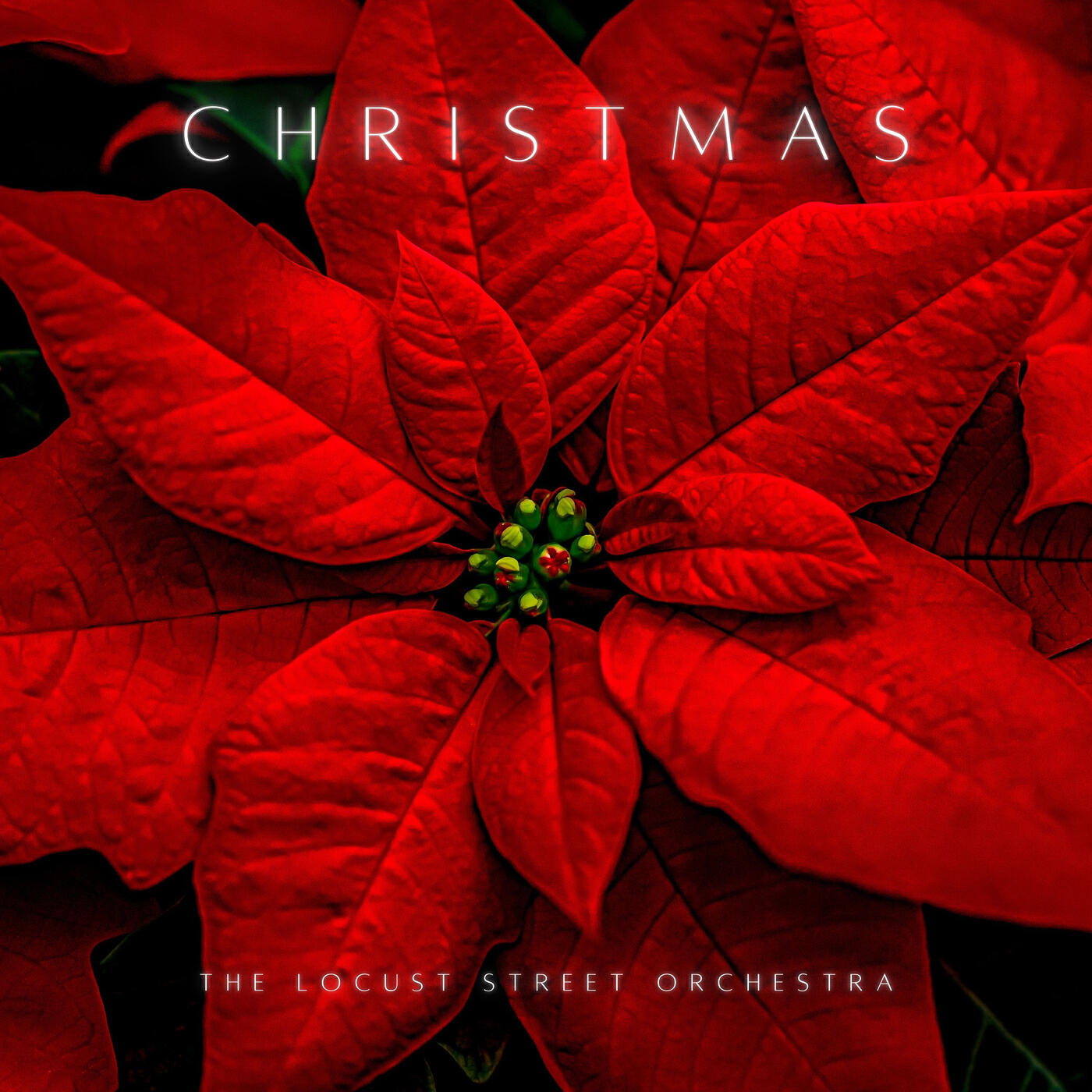 Релиз Christmas