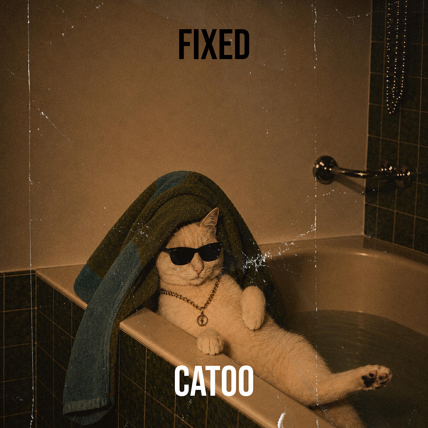 Catoo