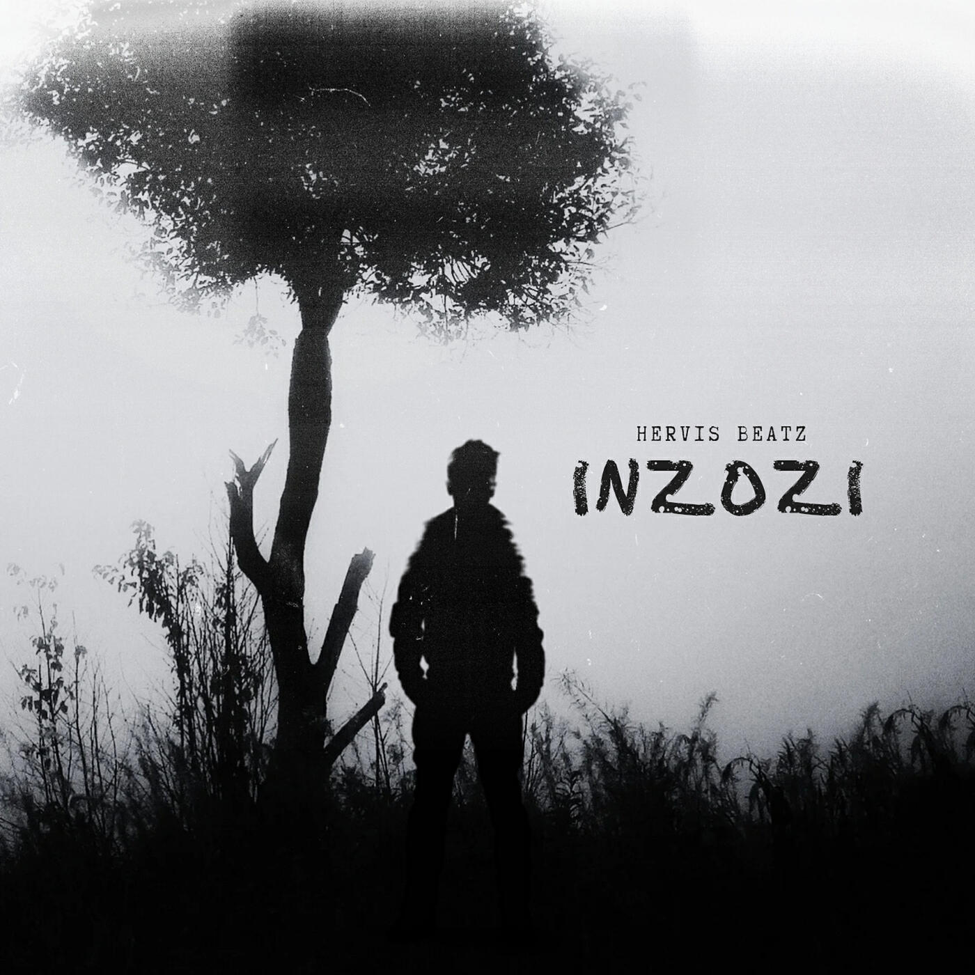 Релиз Inzozi