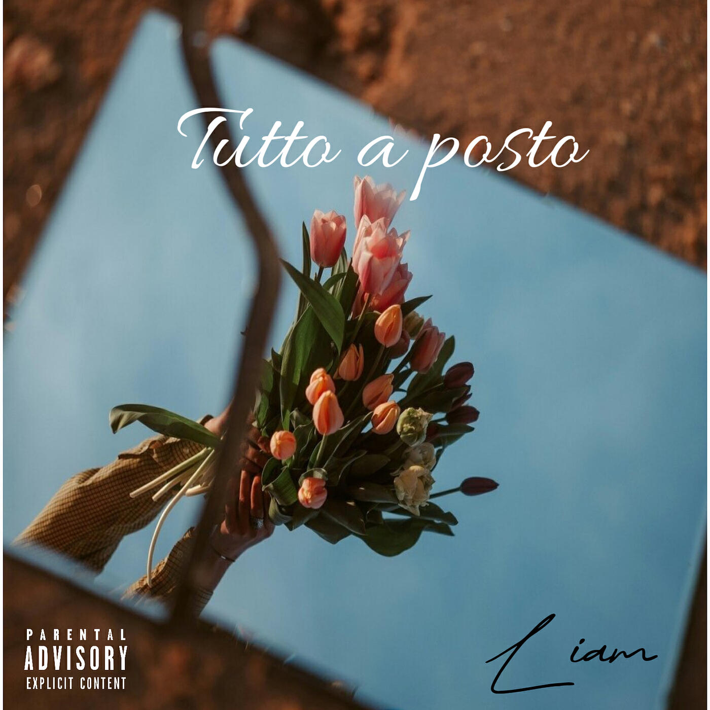 Релиз Tutto a posto