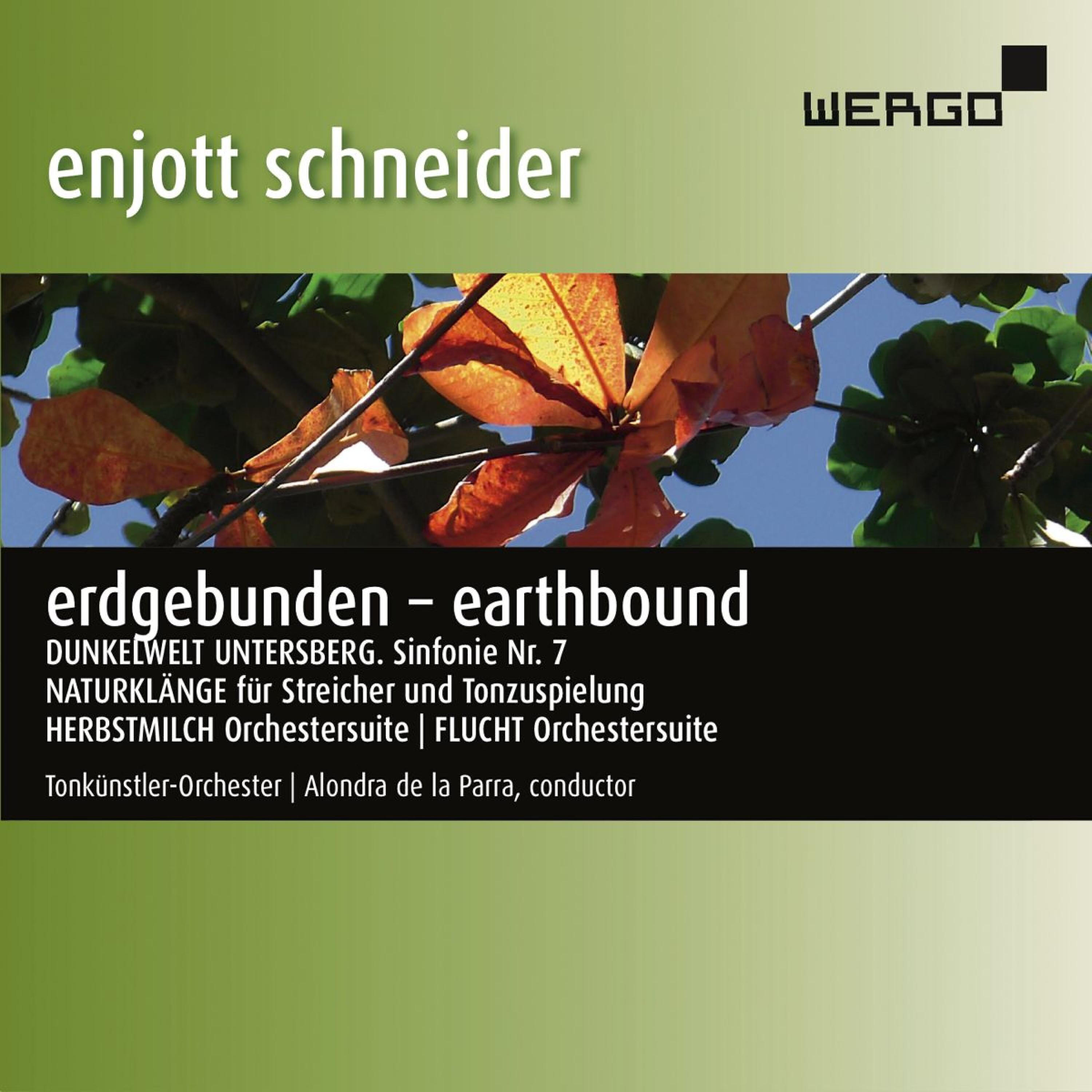 Релиз Schneider: Erdgebunden