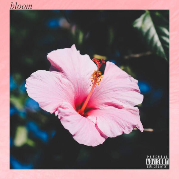 Релиз Bloom