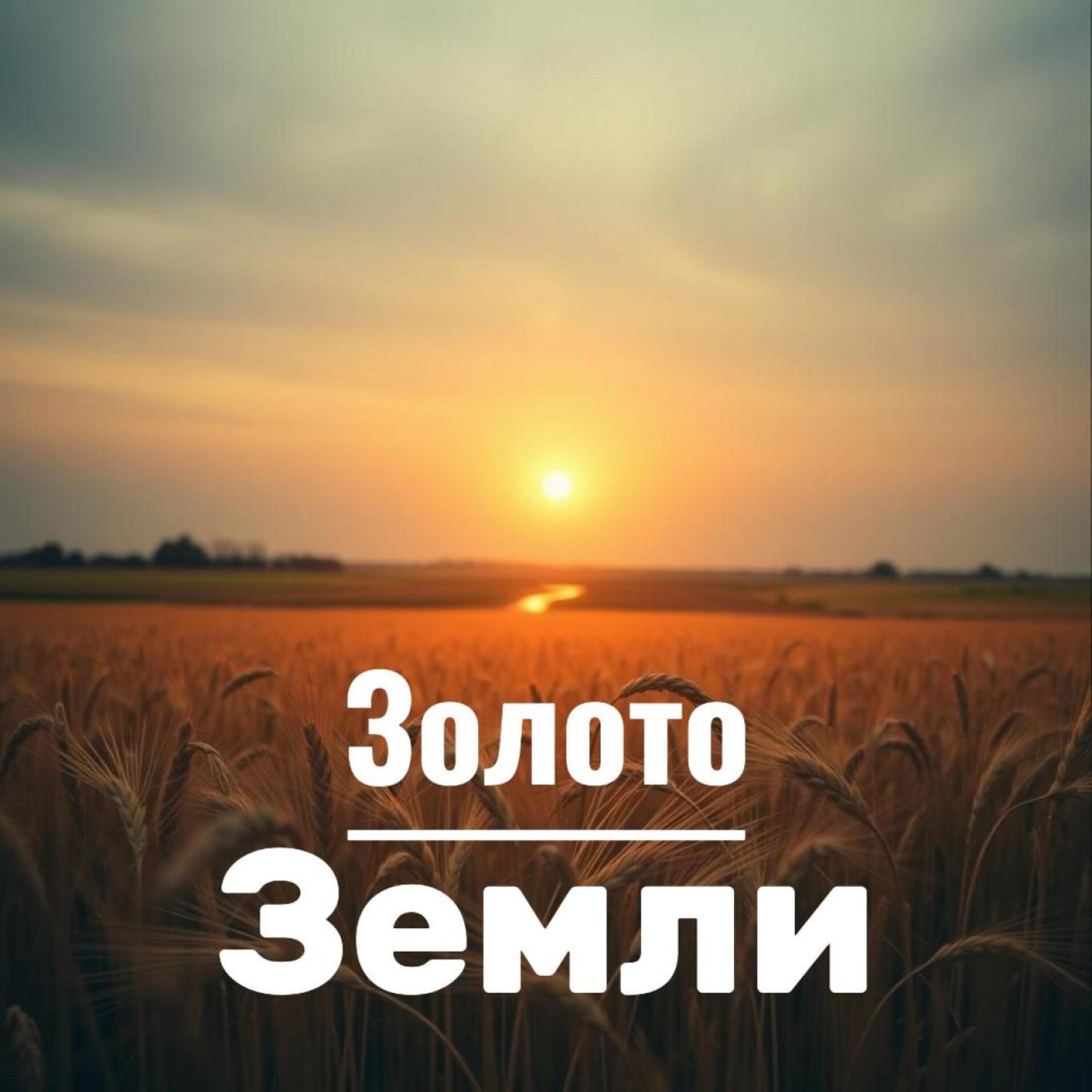 Релиз Золото Земли