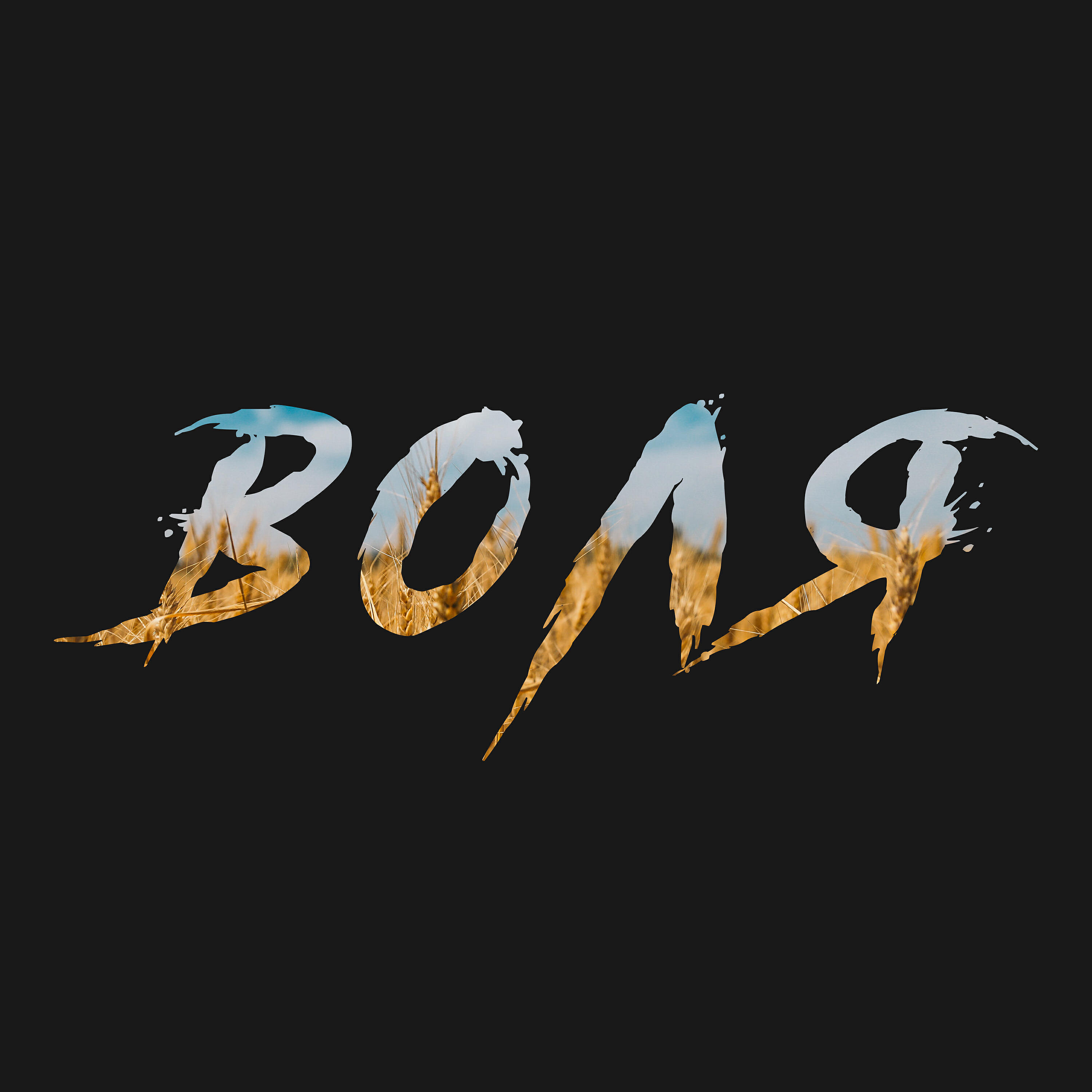 Релиз Воля