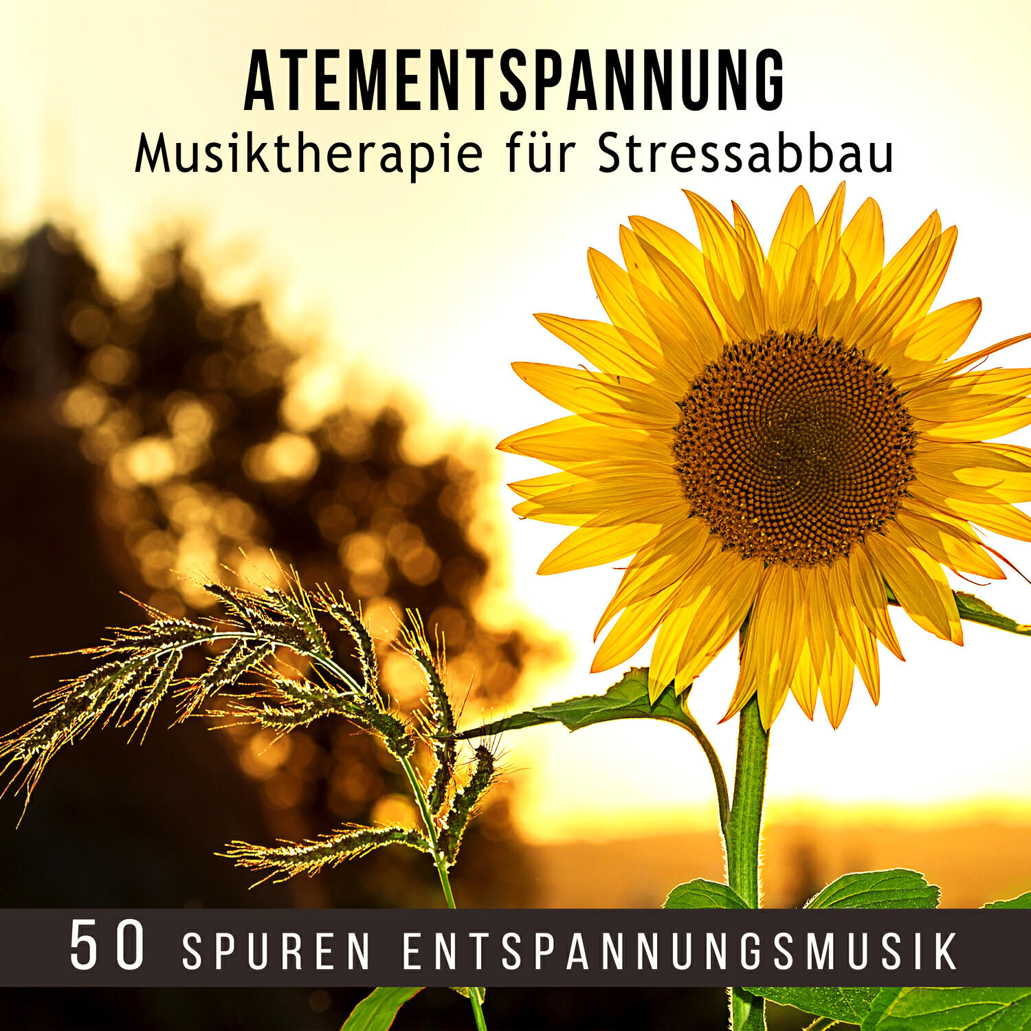 Релиз Atementspannung: Musiktherapie für Stressabbau - 50 Spuren Entspannungsmusik und Naturgeräusche zum Meditieren, Wege in die Entspannung, Tiefenentspannung und Einschlafen, Yoga Musik