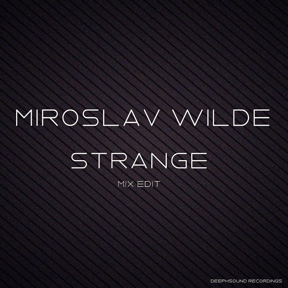 Miroslav Wilde