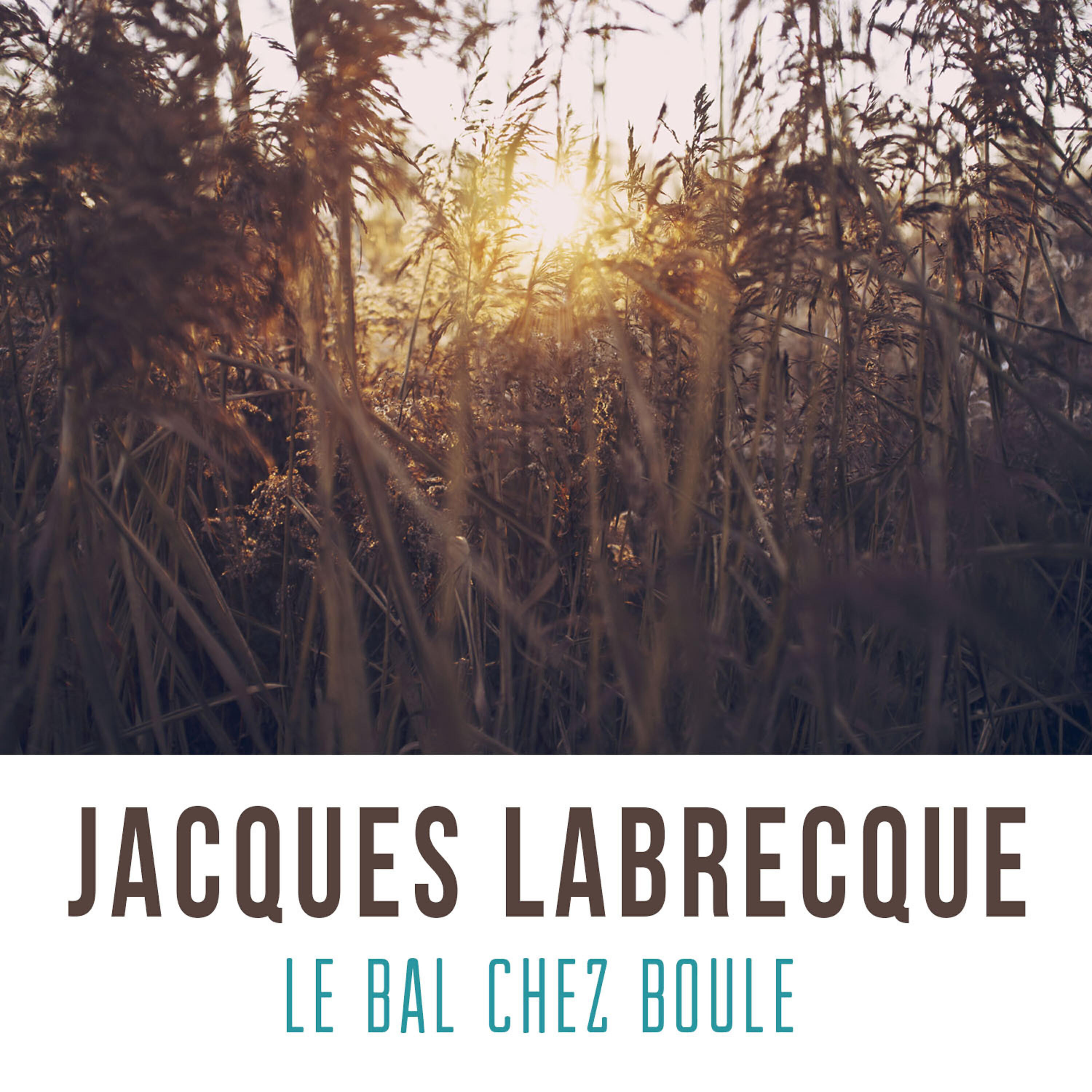 Релиз Le bal chez boule
