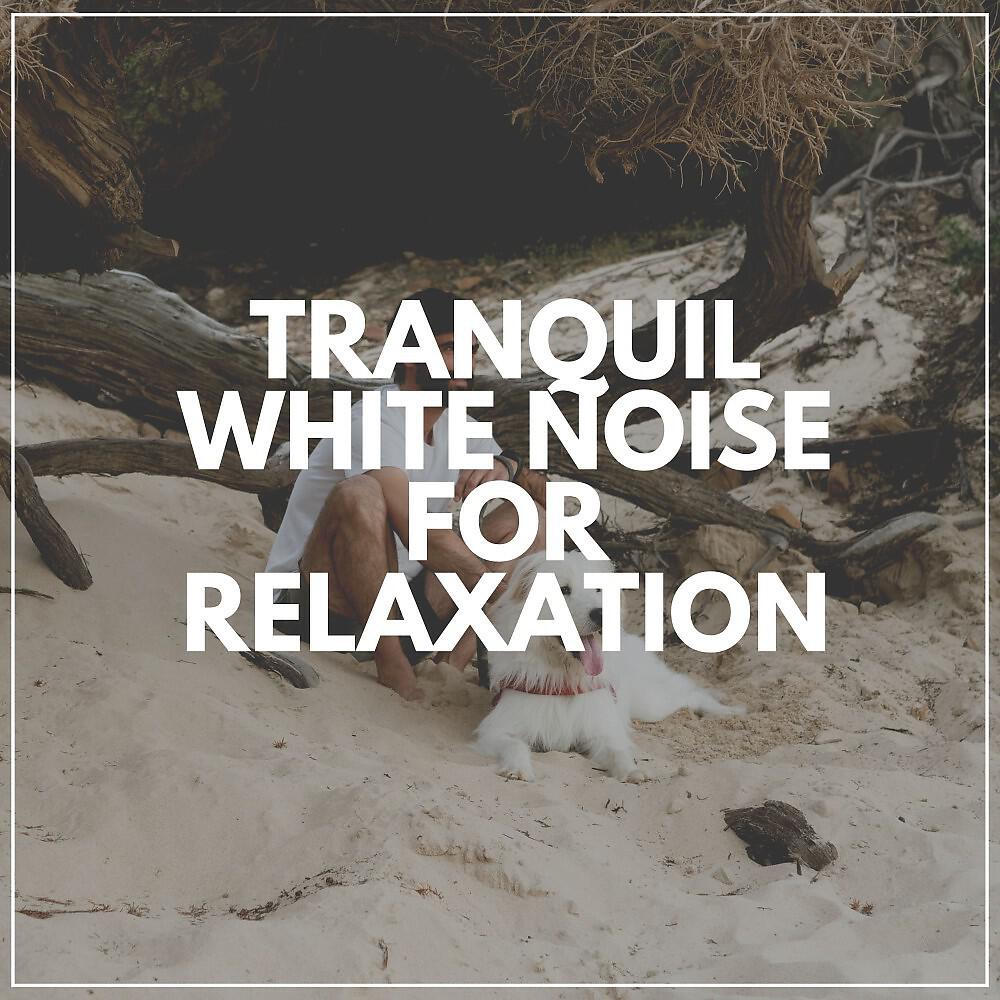 Релиз Tranquil White Noise for Relaxation