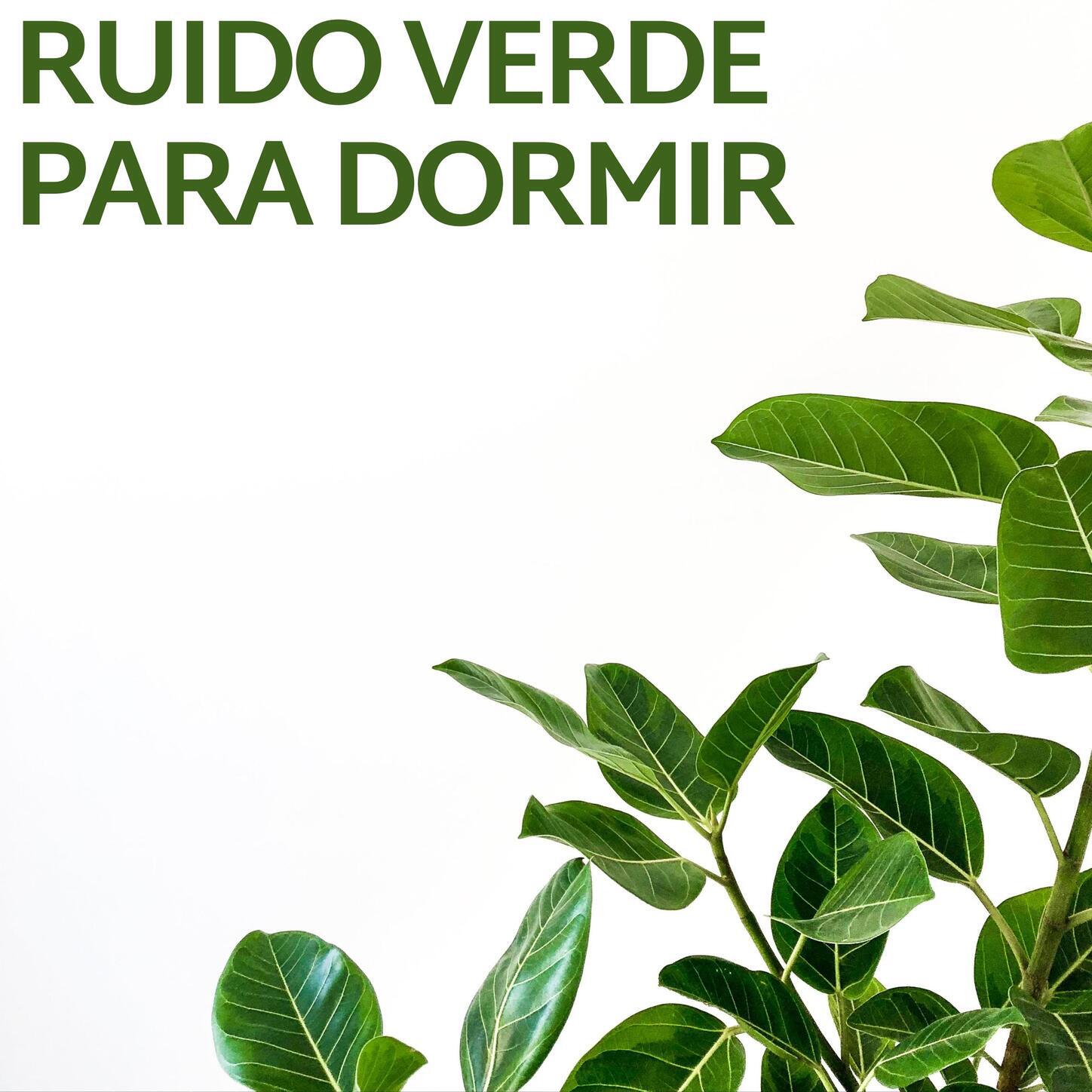 Релиз Ruido Verde Para Dormir