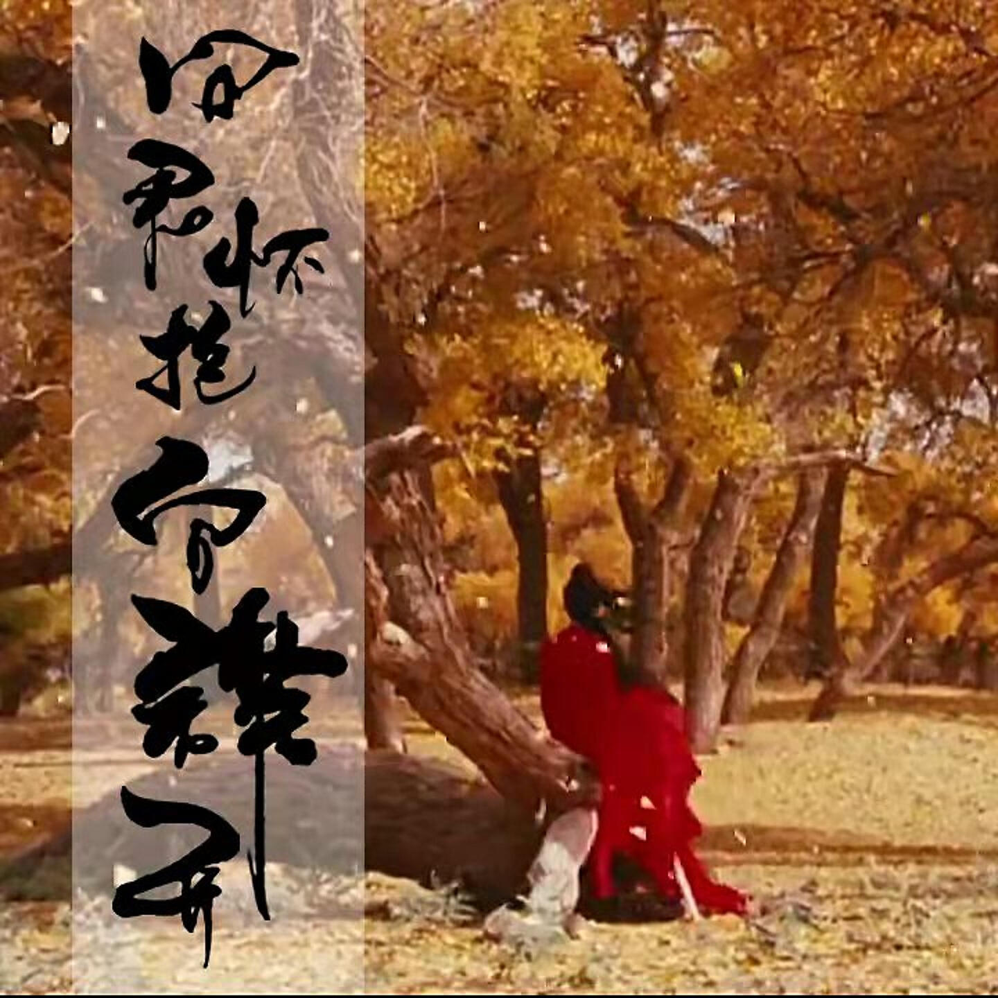 Релиз 问君怀抱向谁开