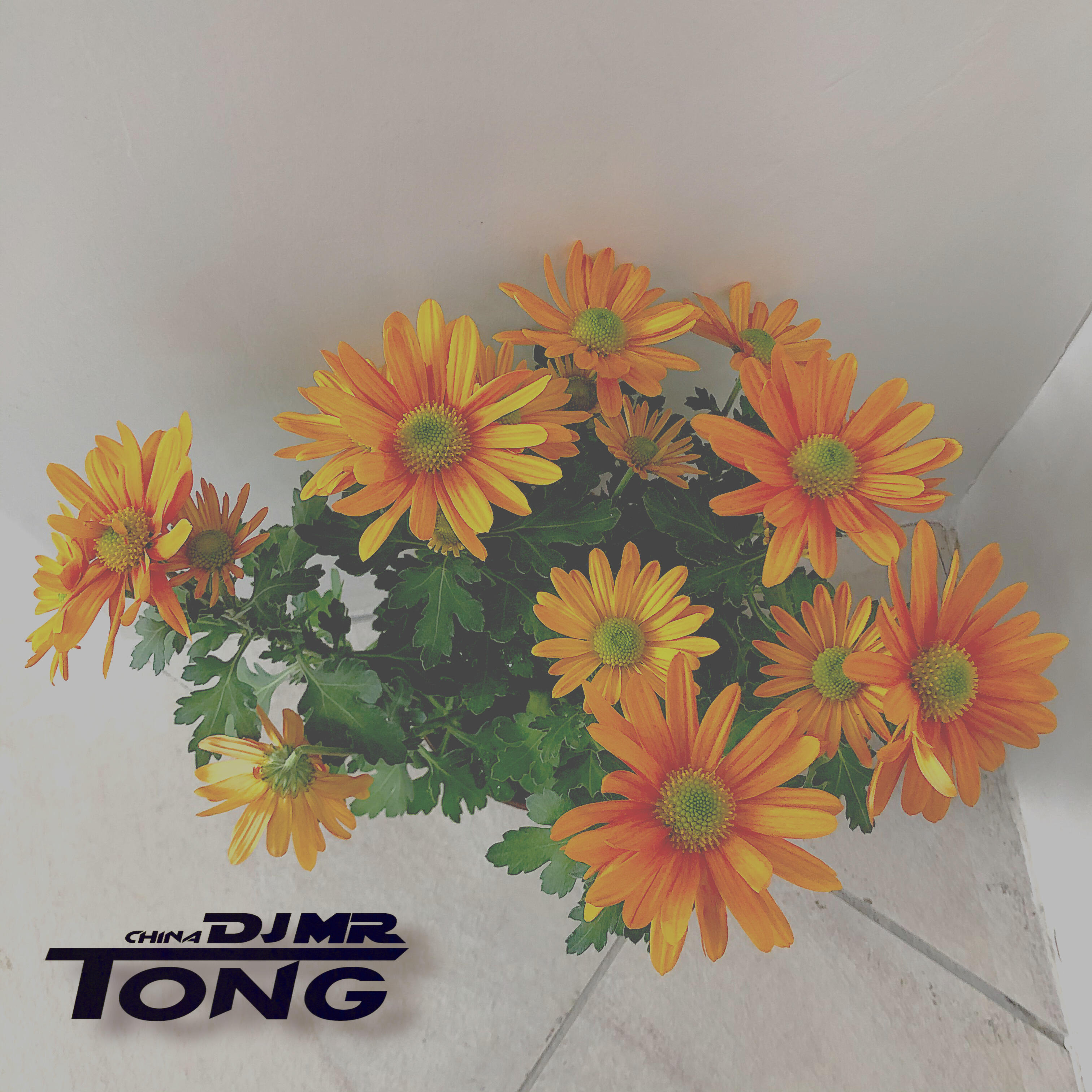Релиз DEEP HOUSE LO/TWO