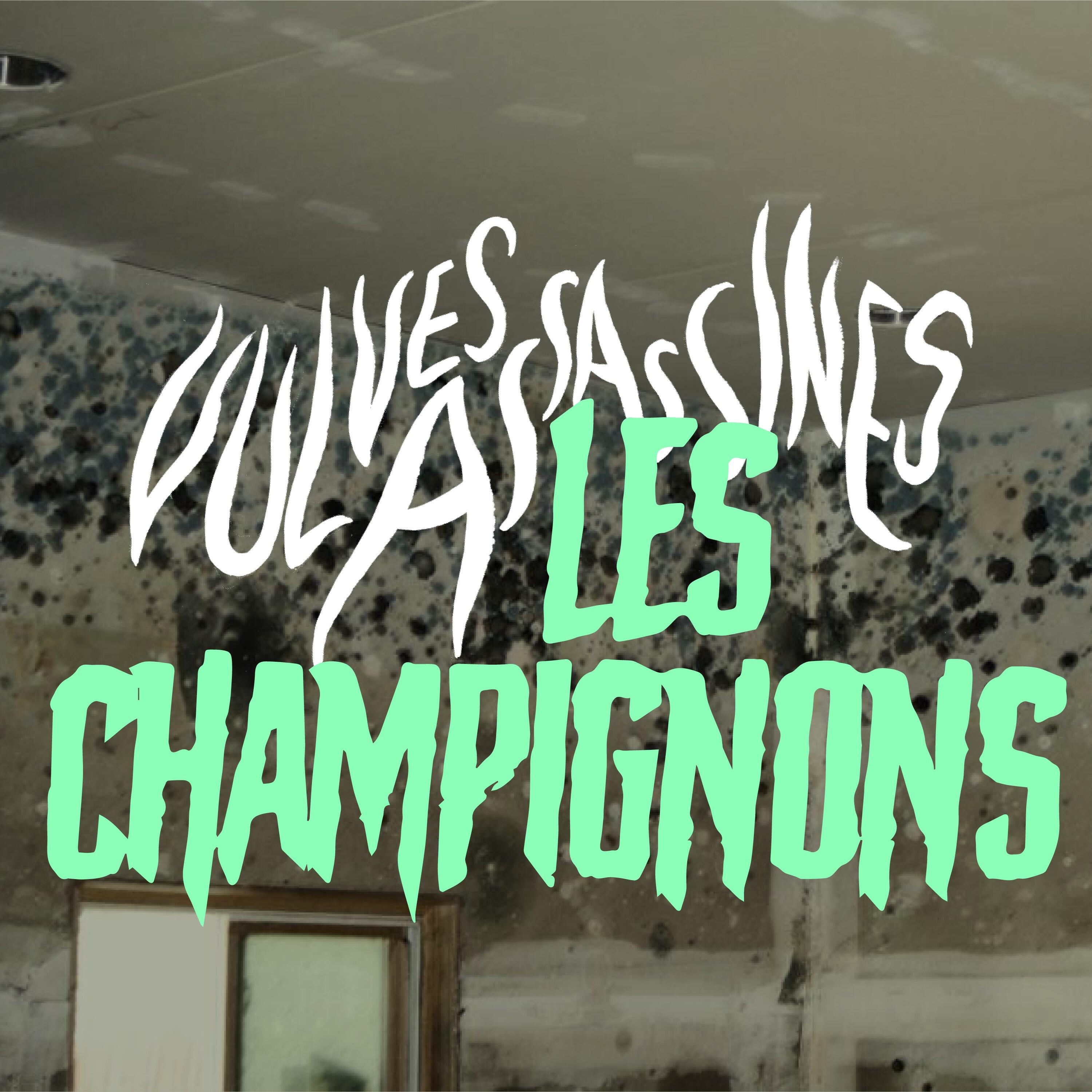 Релиз Les champignons