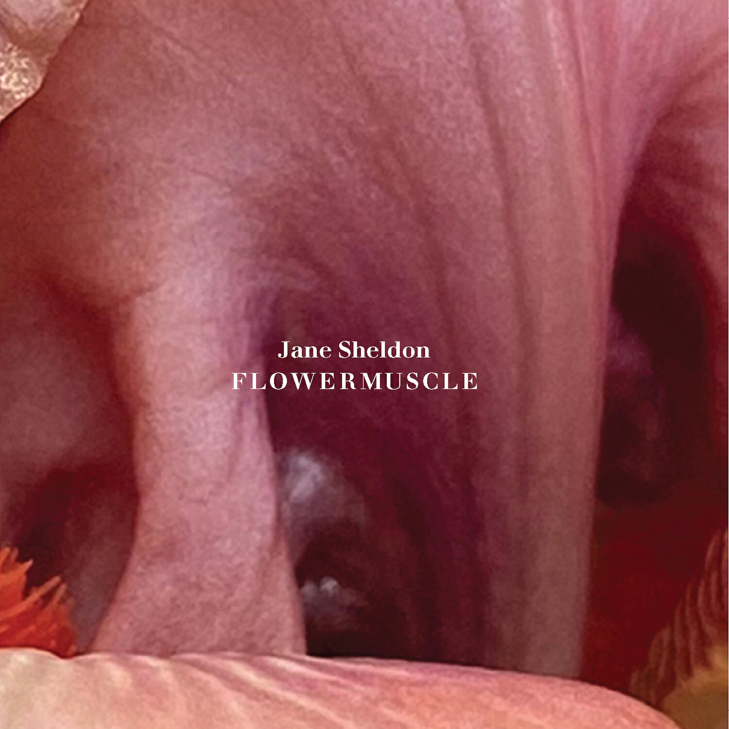 Релиз flowermuscle