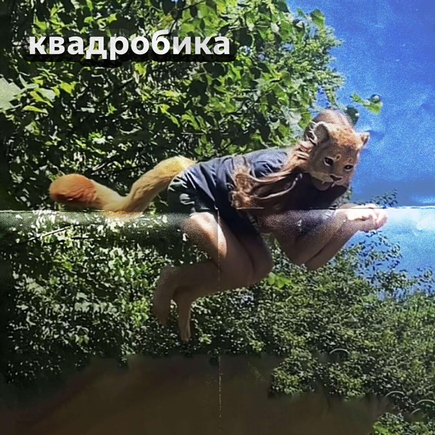 Релиз Квадробика