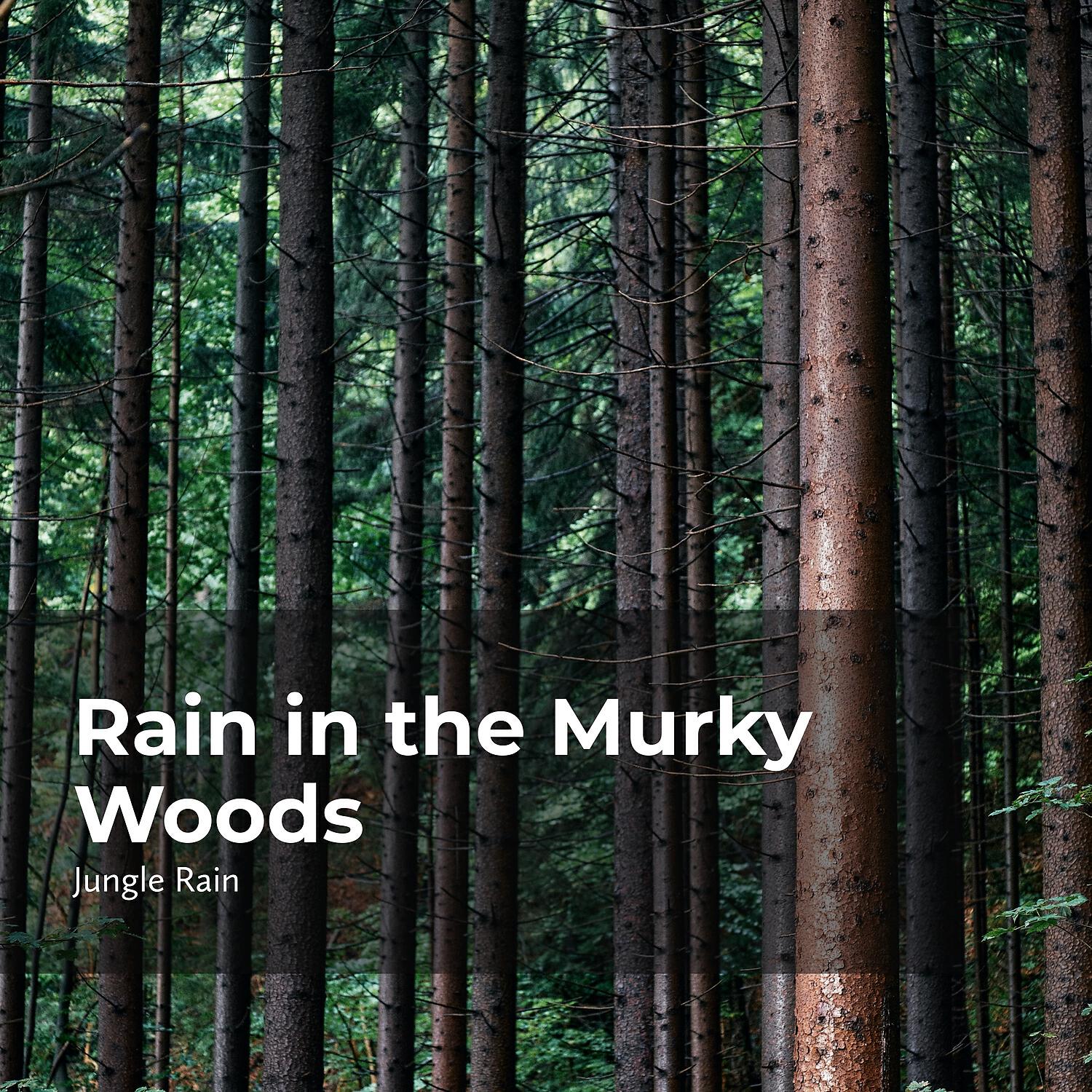 Релиз Rain in the Murky Woods