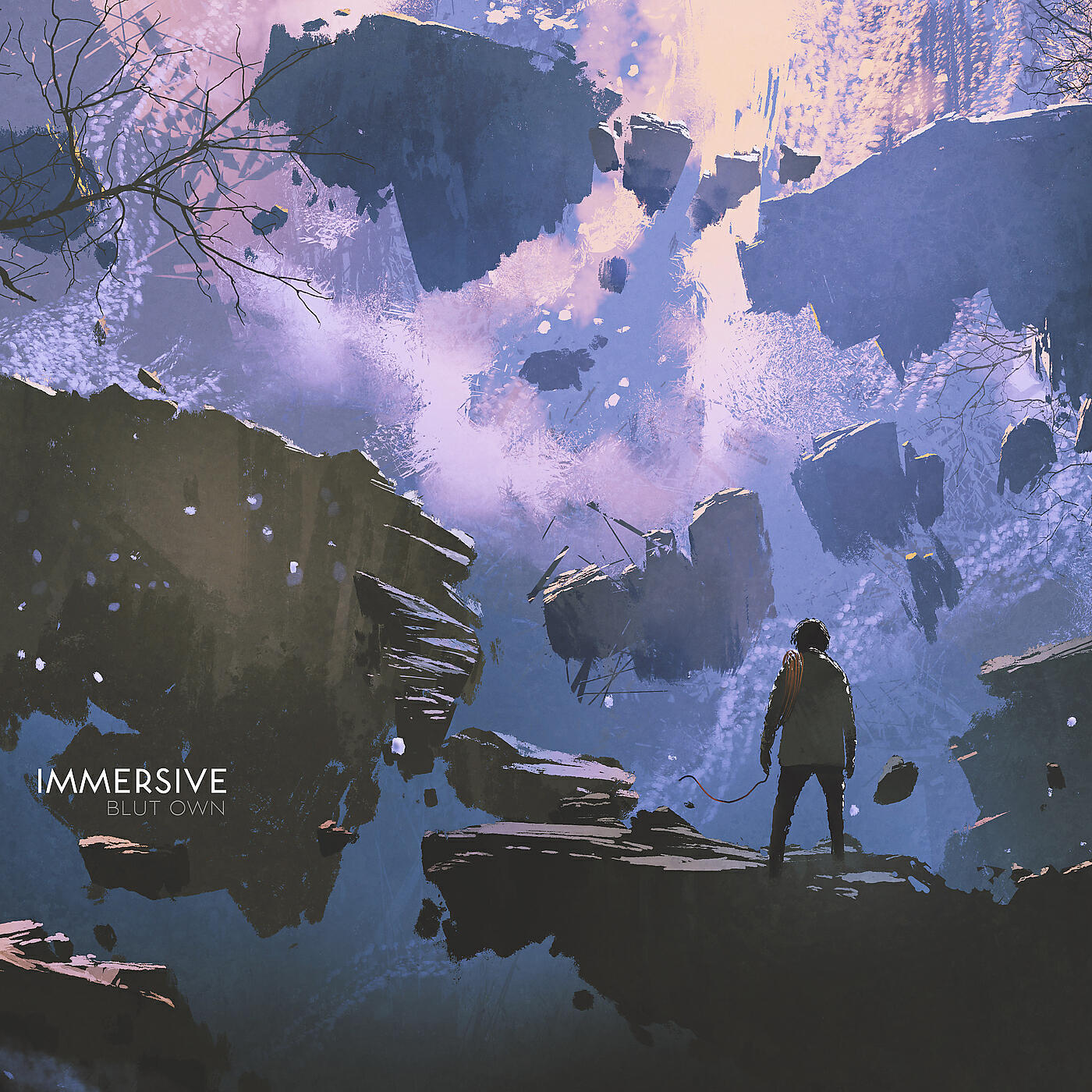 Постер альбома Immersive