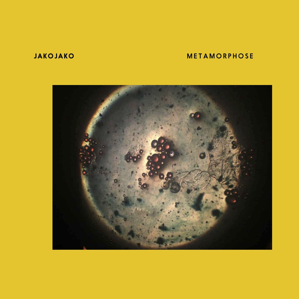 Релиз Metamorphose