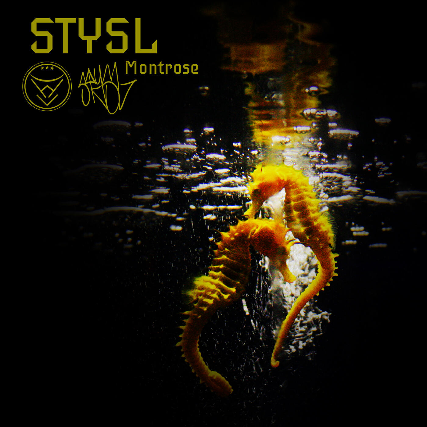 STYSL
