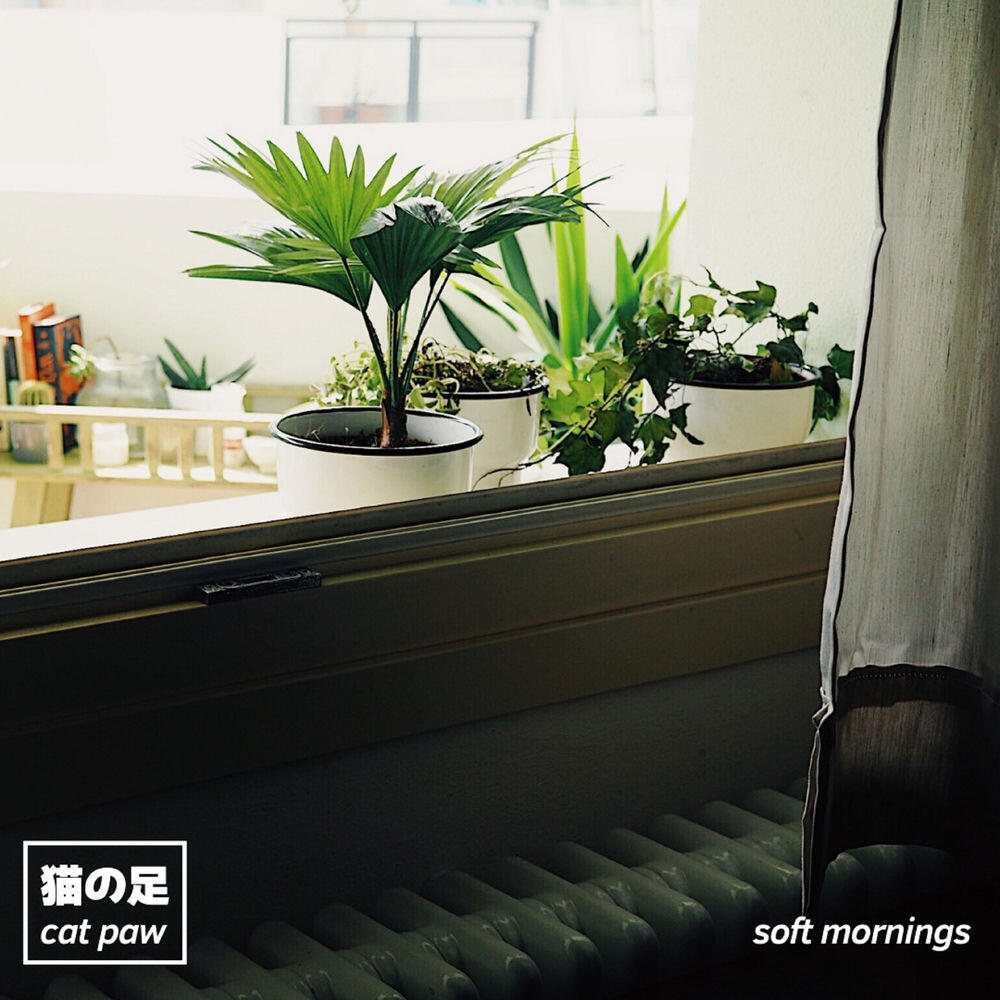 Релиз Soft Mornings