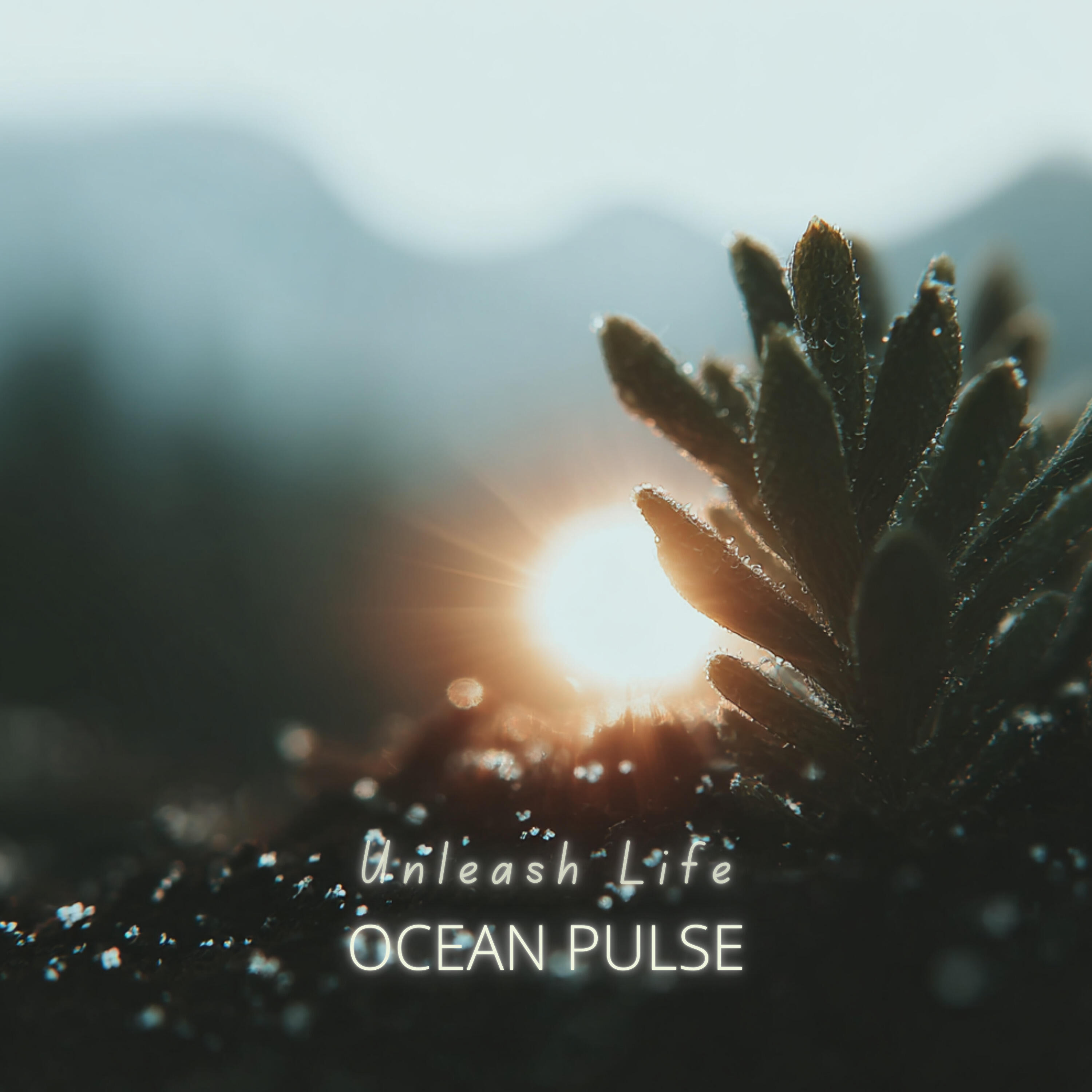 Ocean Pulse