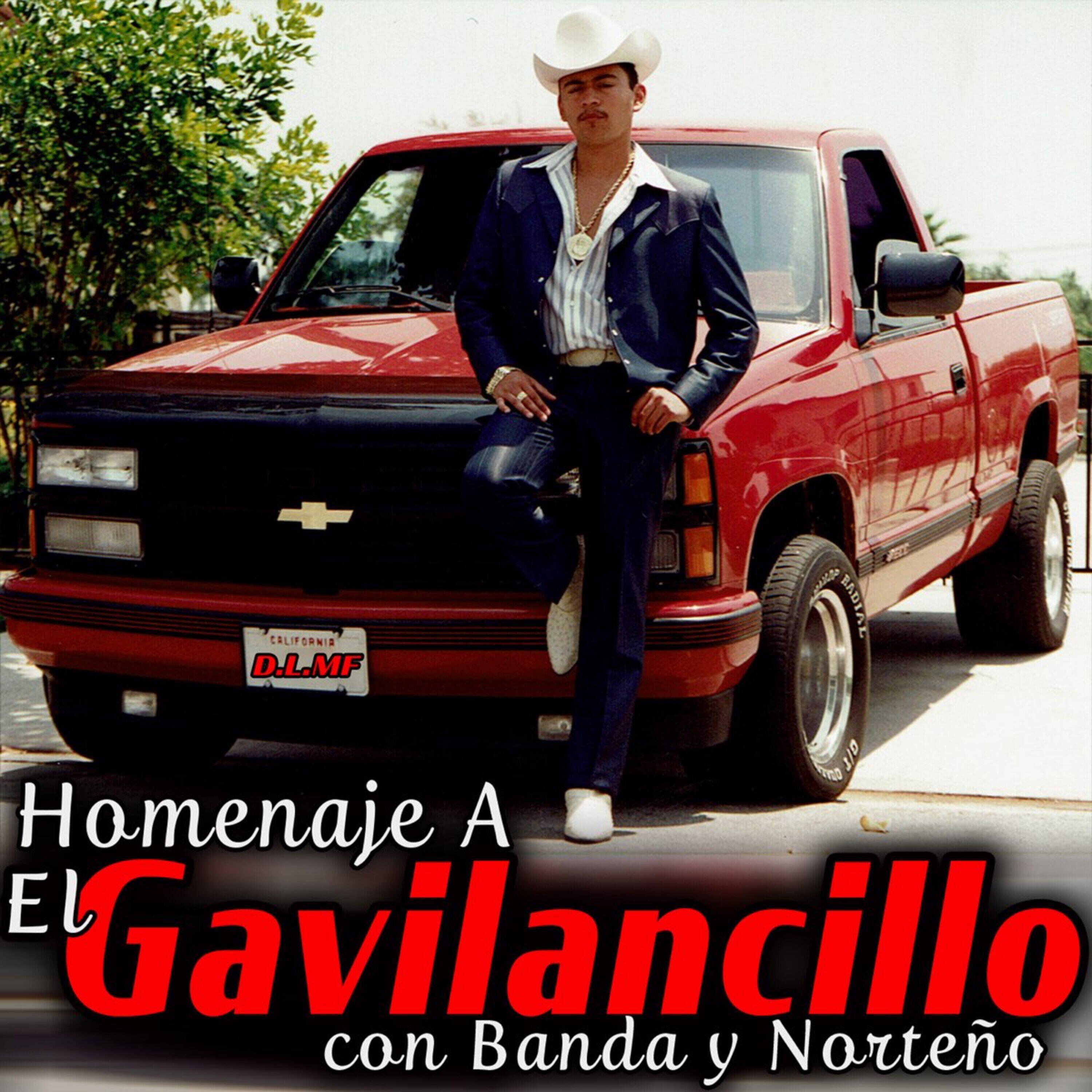Homenaje a El Gavilancillo