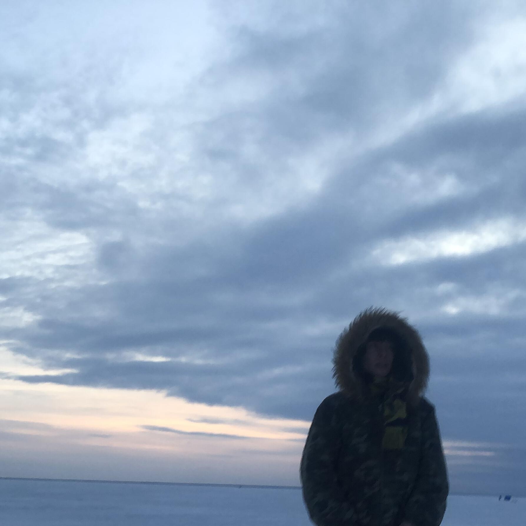 Релиз anora