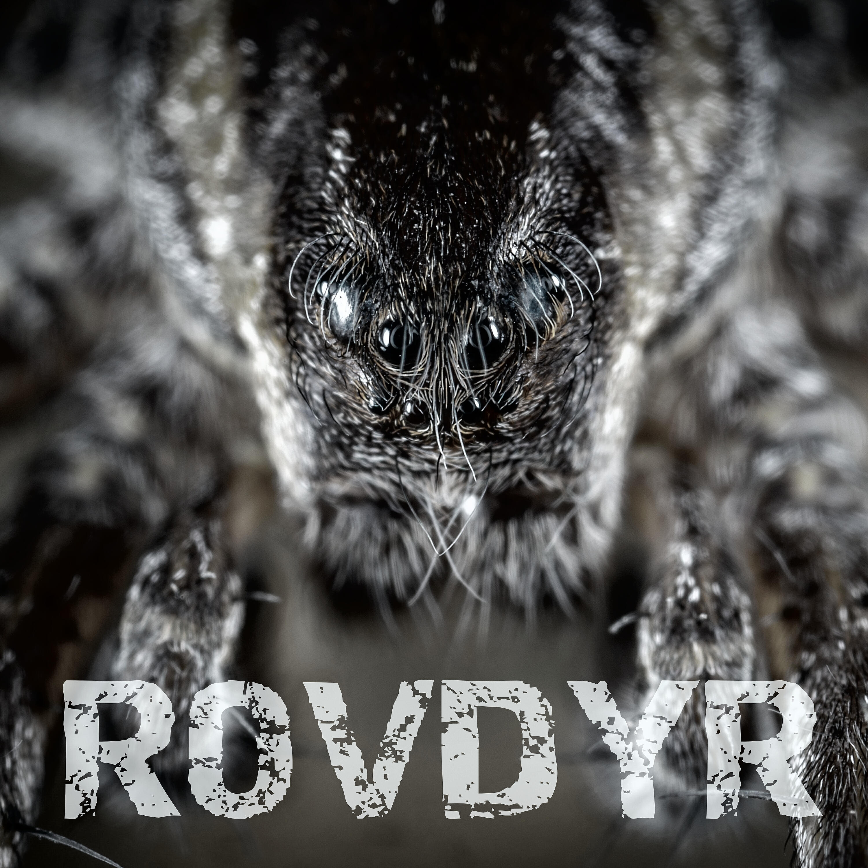 Релиз Rovdyr