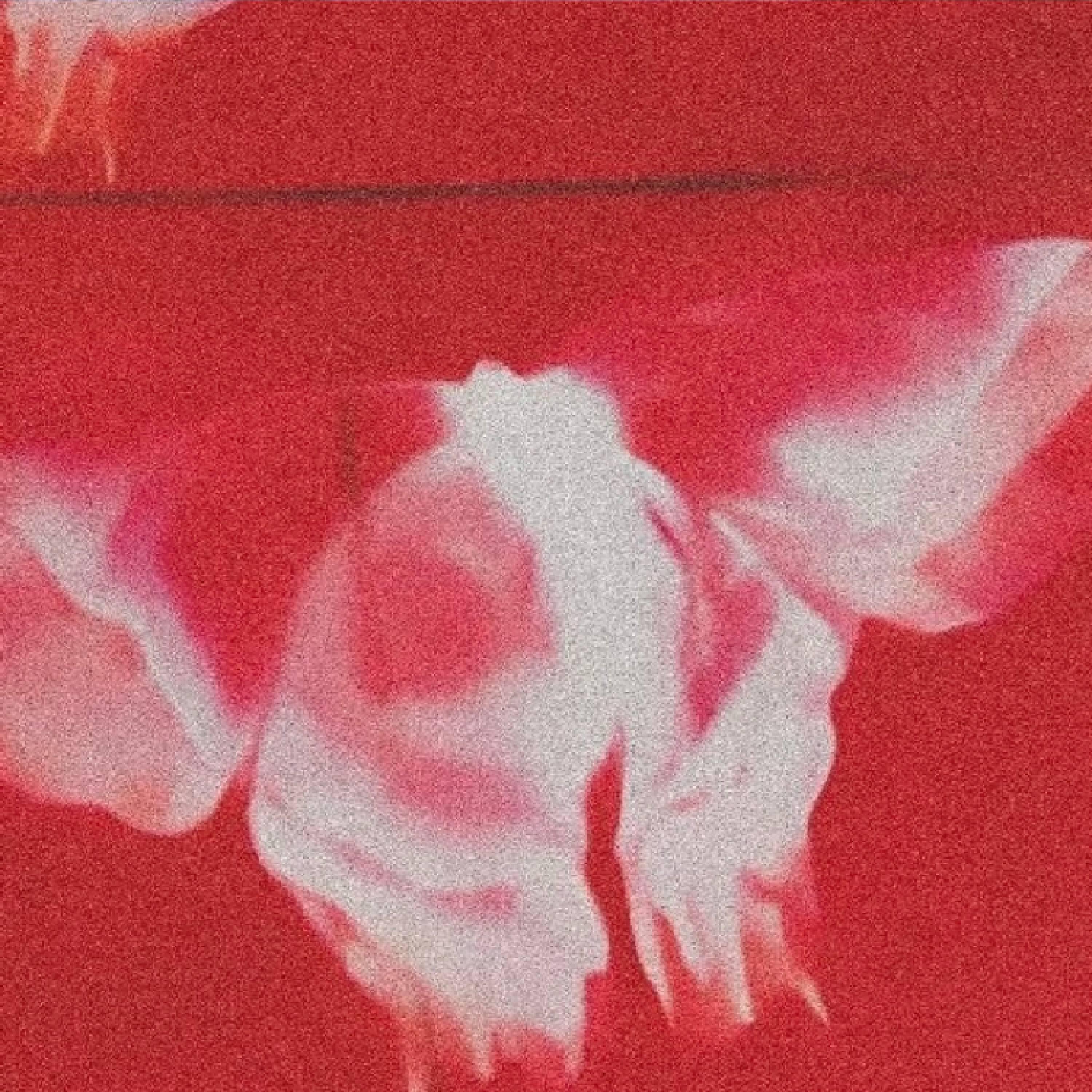 Релиз Hổng Thích Đùa