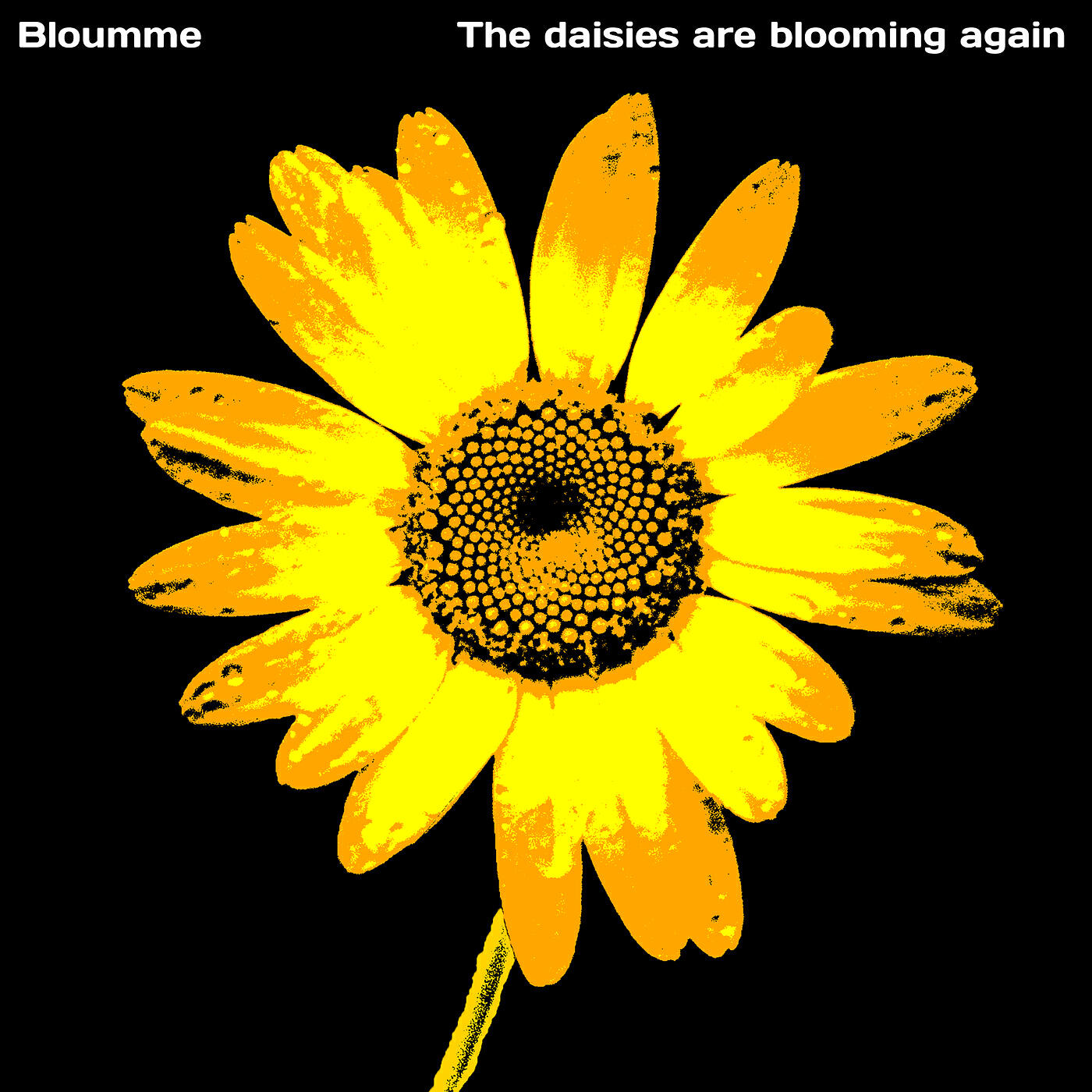 Релиз The Daisies Are Blooming Again