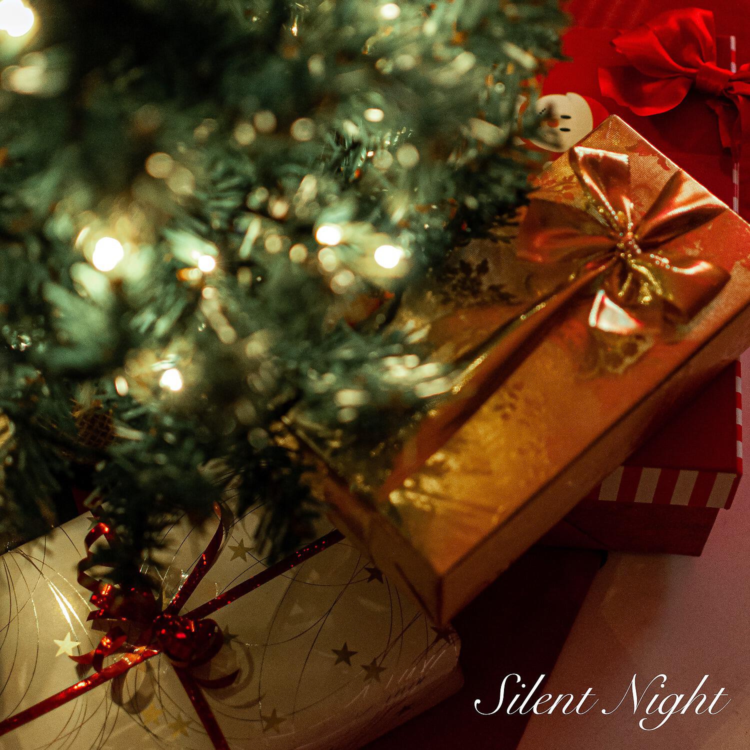 Релиз Silent Night