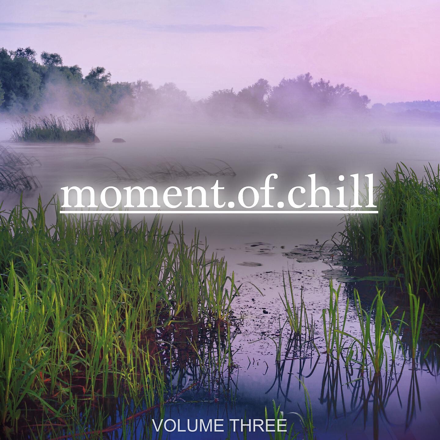 Релиз Moment Of Chill, Vol. 3