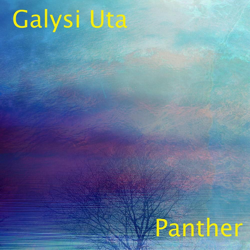 Релиз Panther