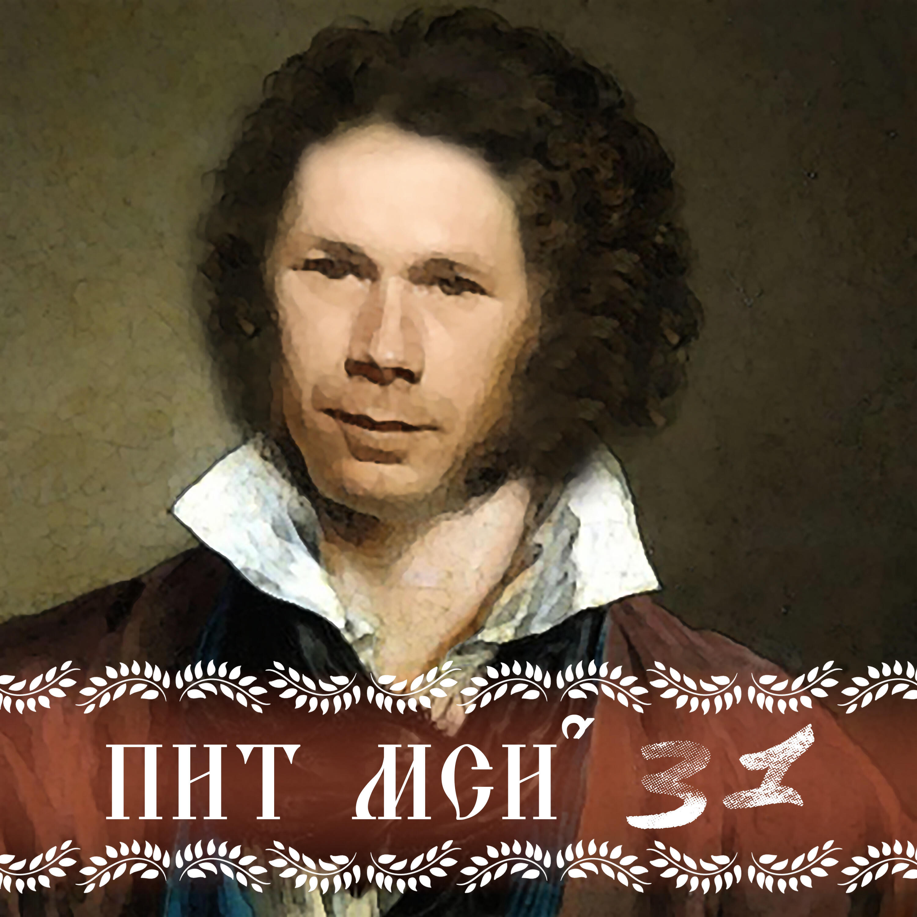 Пит мси31