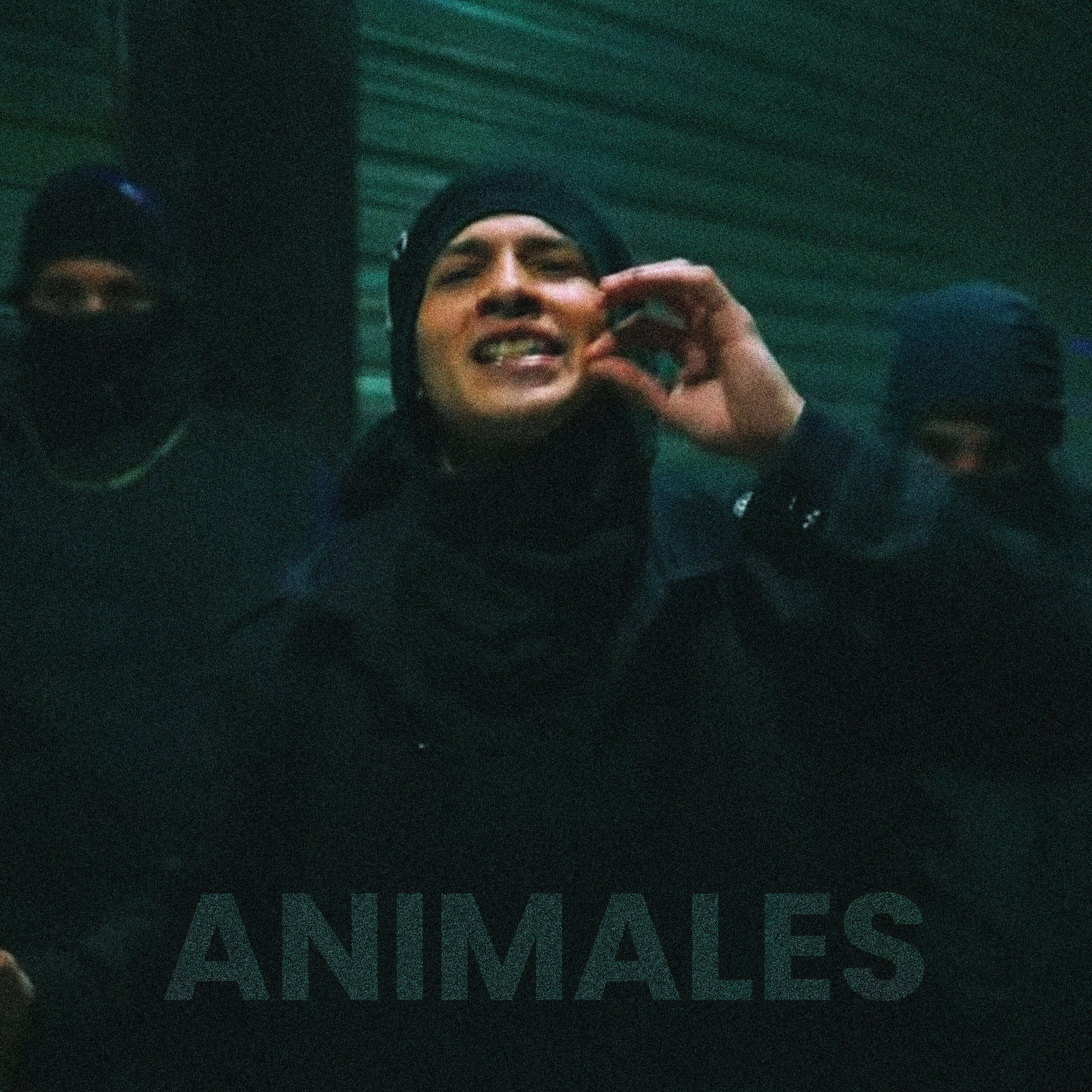 Релиз Animales