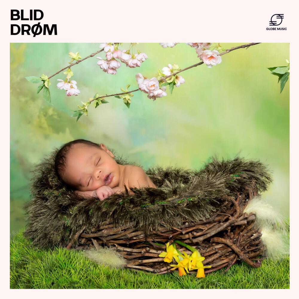 Релиз Blid Drøm