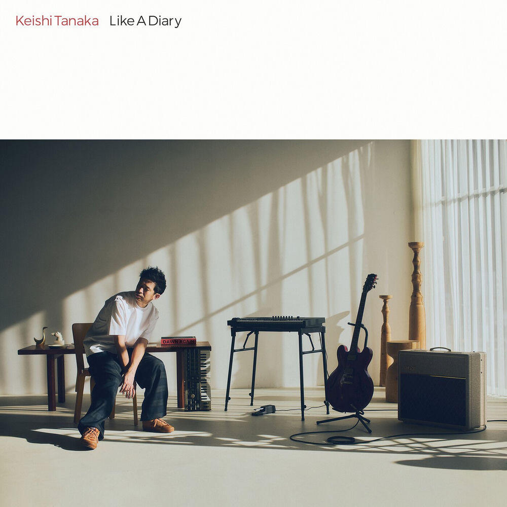 Релиз Like A Diary