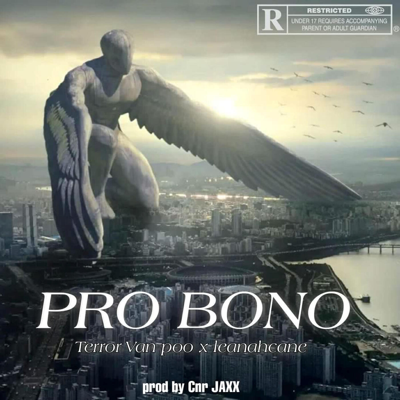 Релиз Pro Bono