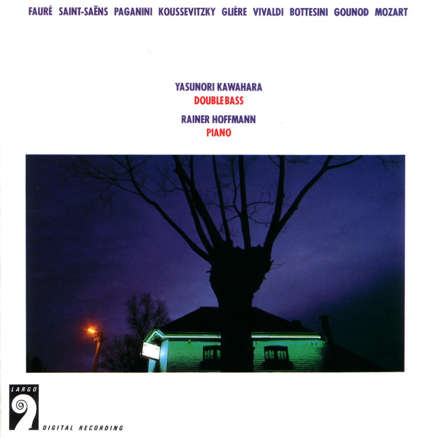 Релиз Double Bass And Piano